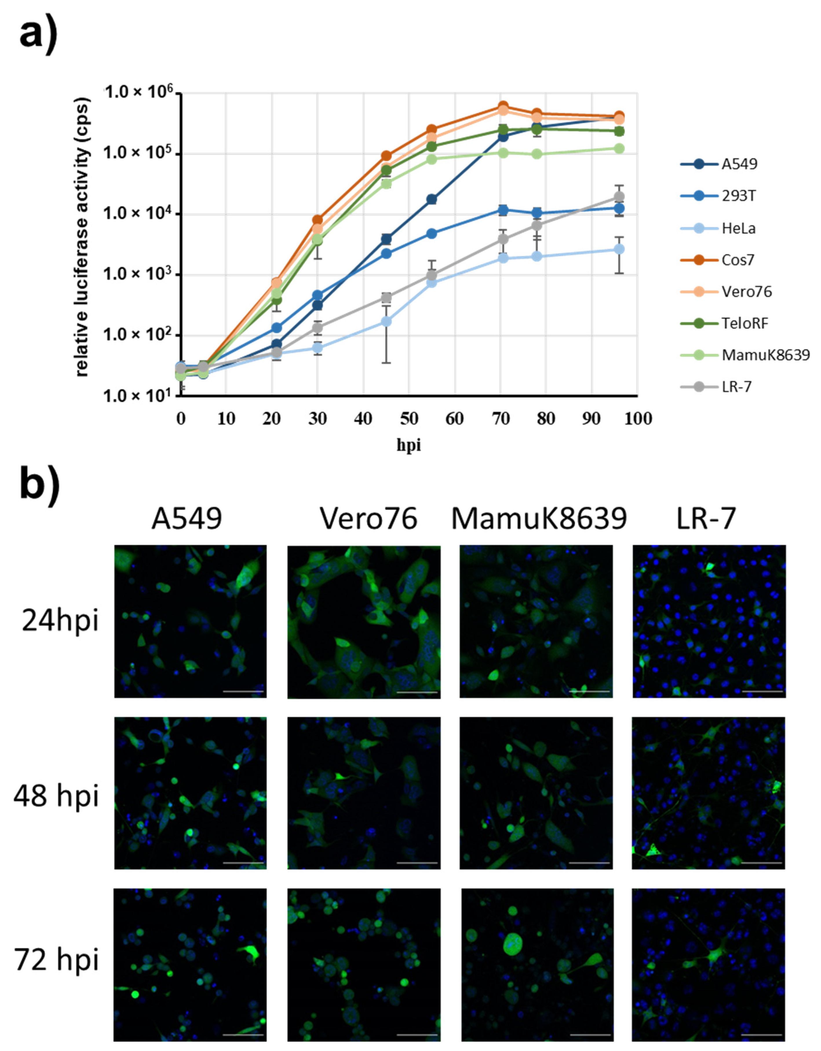 Viruses 14 00091 g004