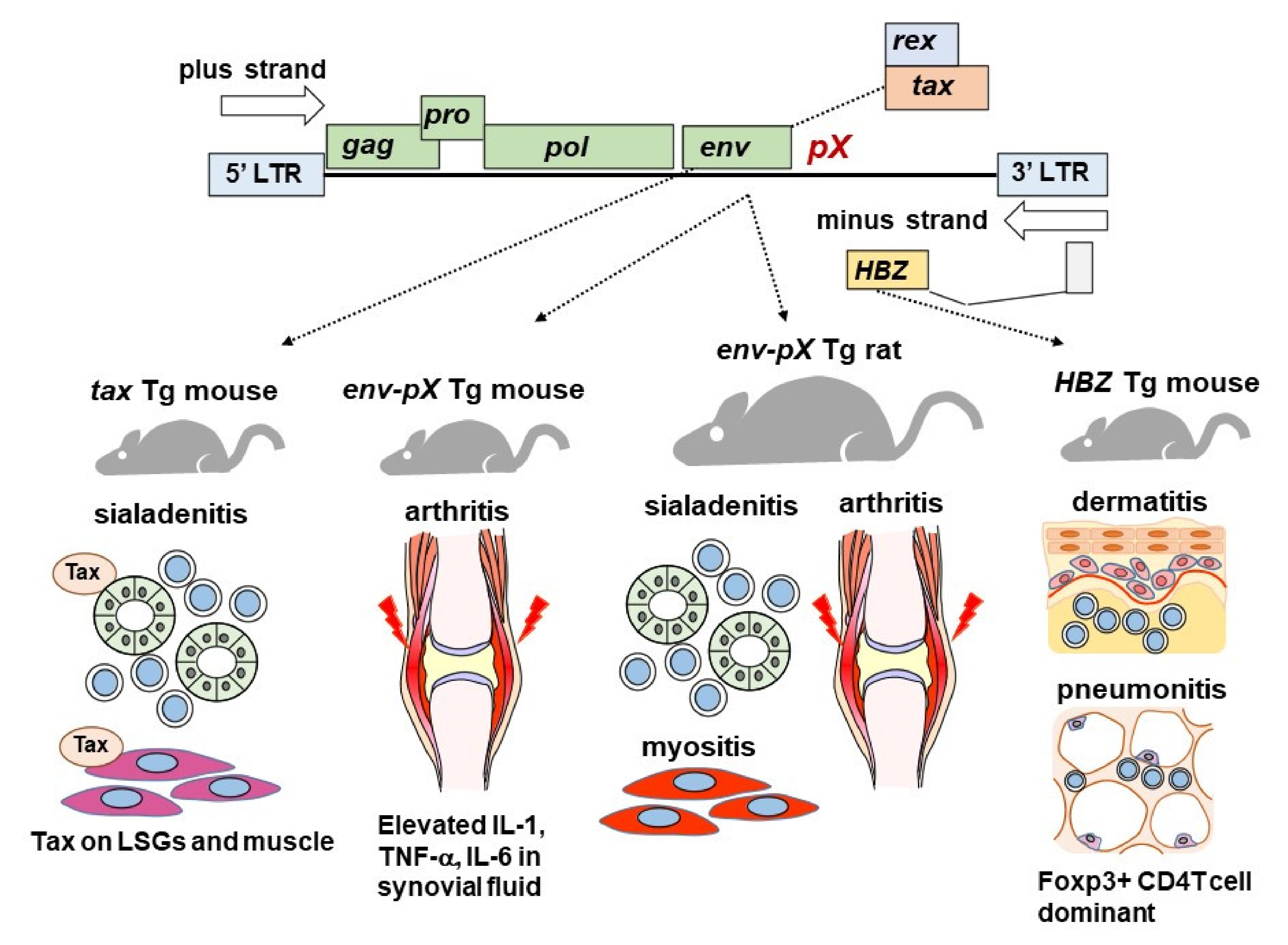 Viruses 14 00100 g001