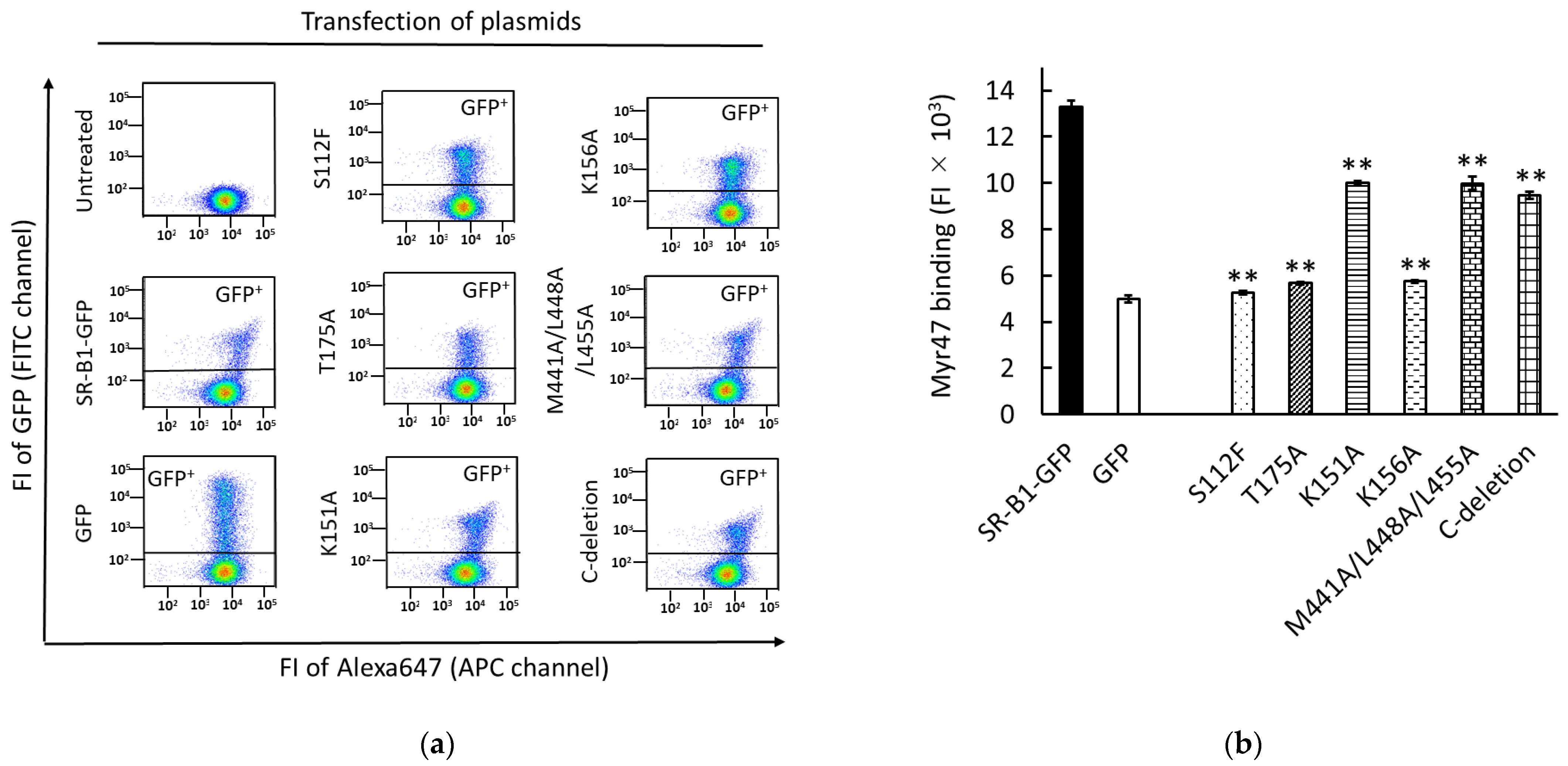 Viruses 14 00105 g002 Viruses 14 00105 g002