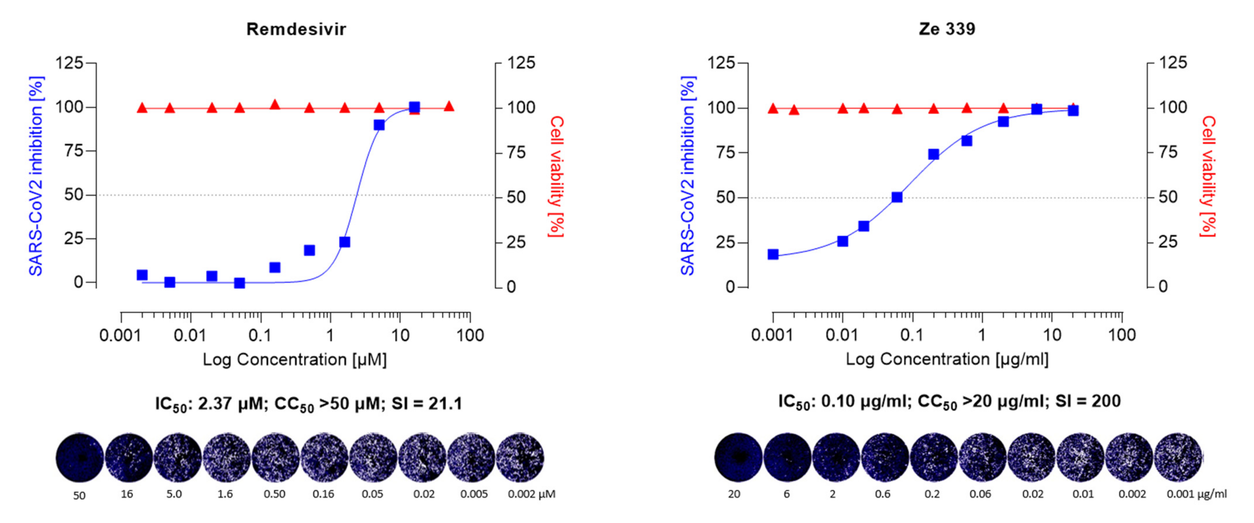 Viruses 14 00106 g002