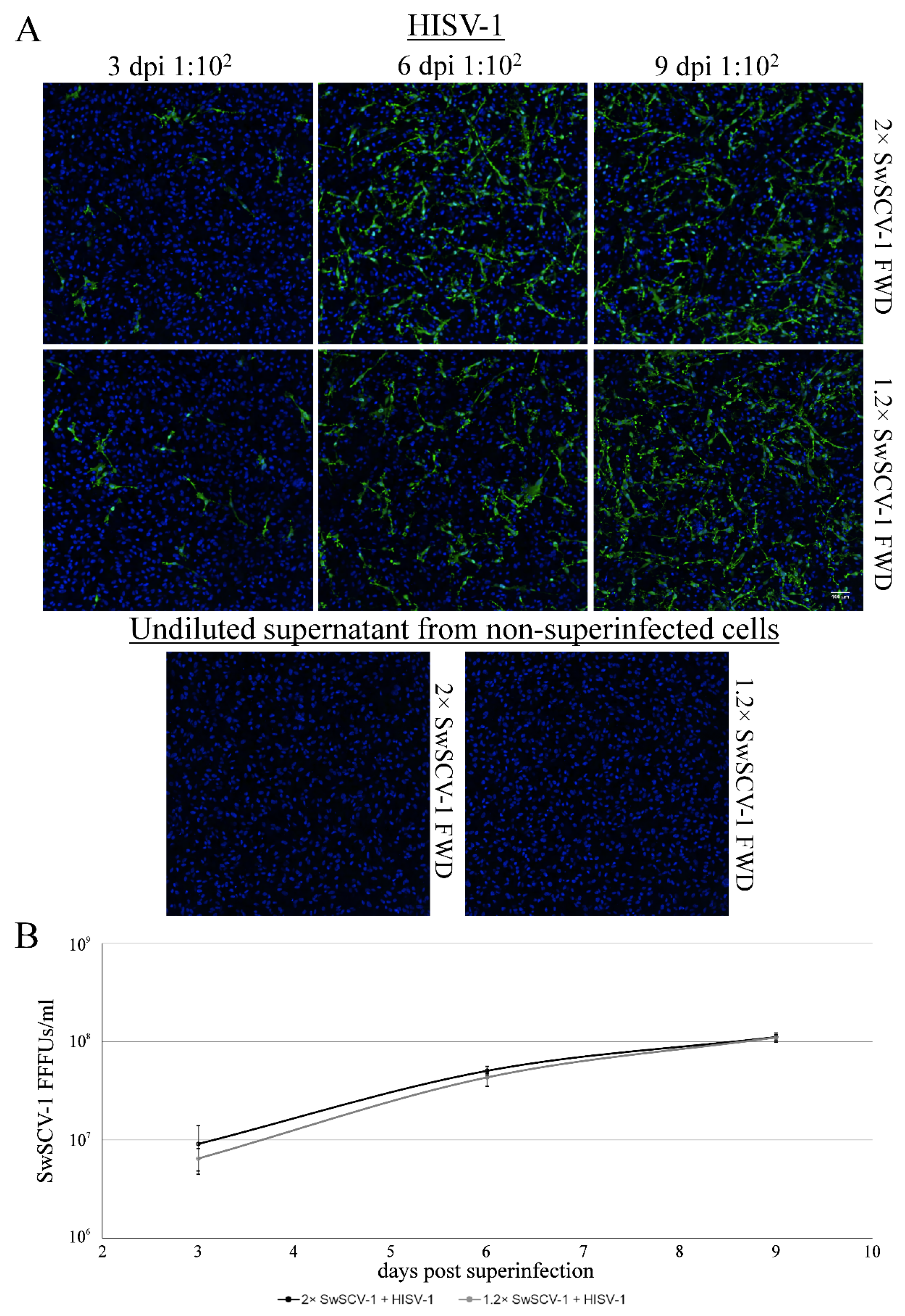 Viruses 14 00107 g005