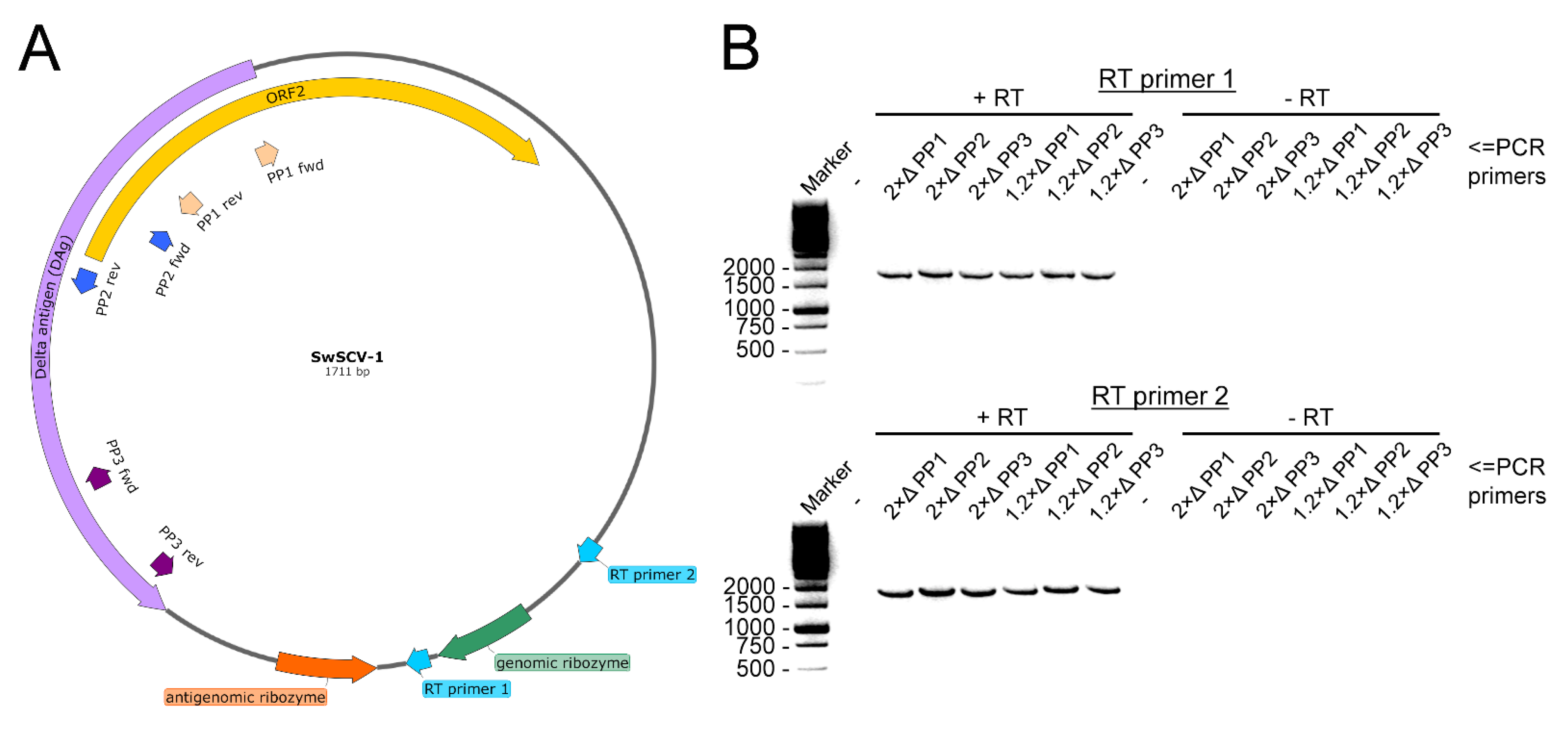 Viruses 14 00107 g007