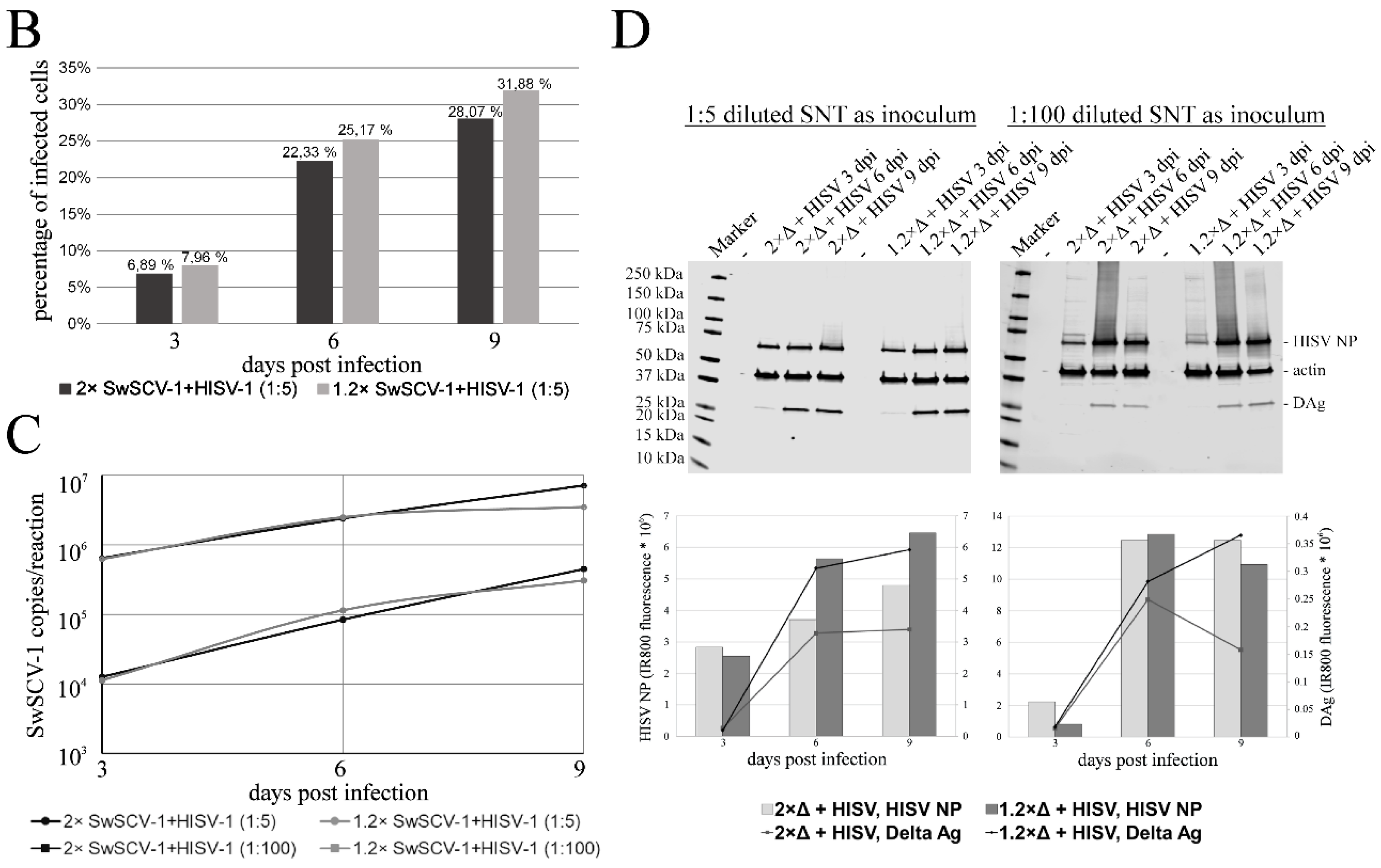 Viruses 14 00107 g008b