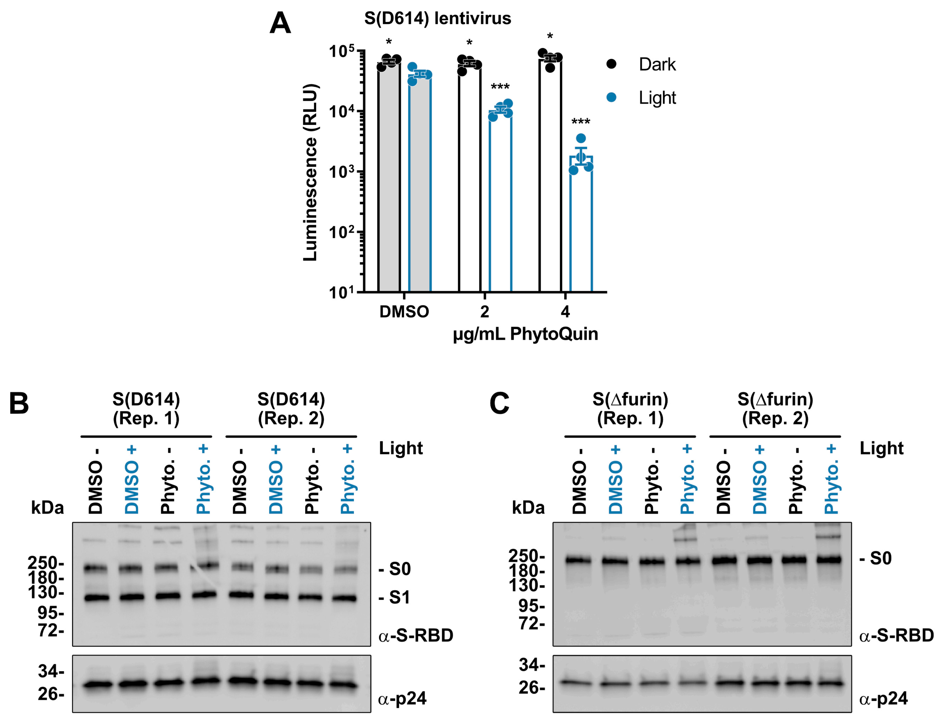 Viruses 14 00110 g005 Viruses 14 00110 g005