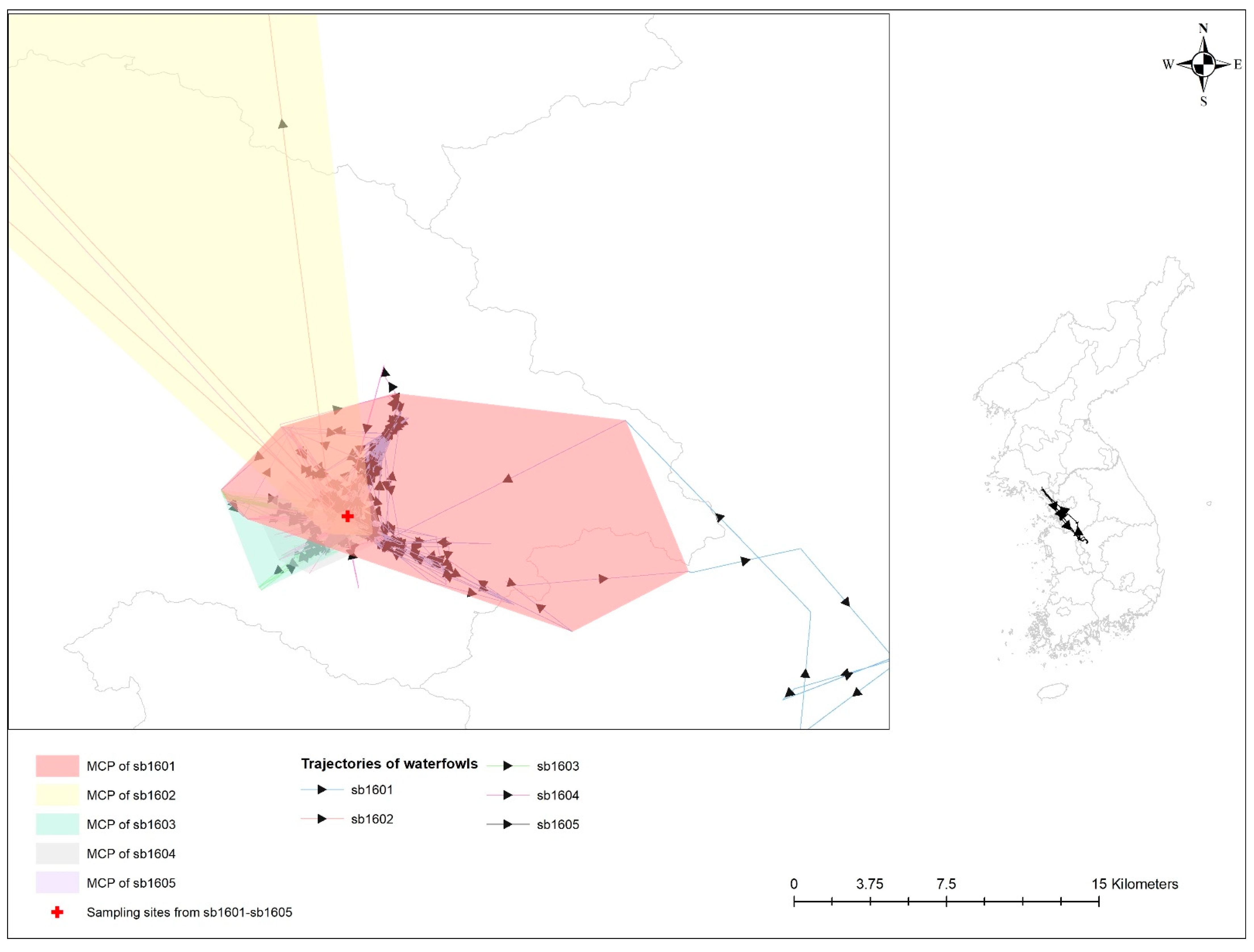 Viruses 14 00116 g003