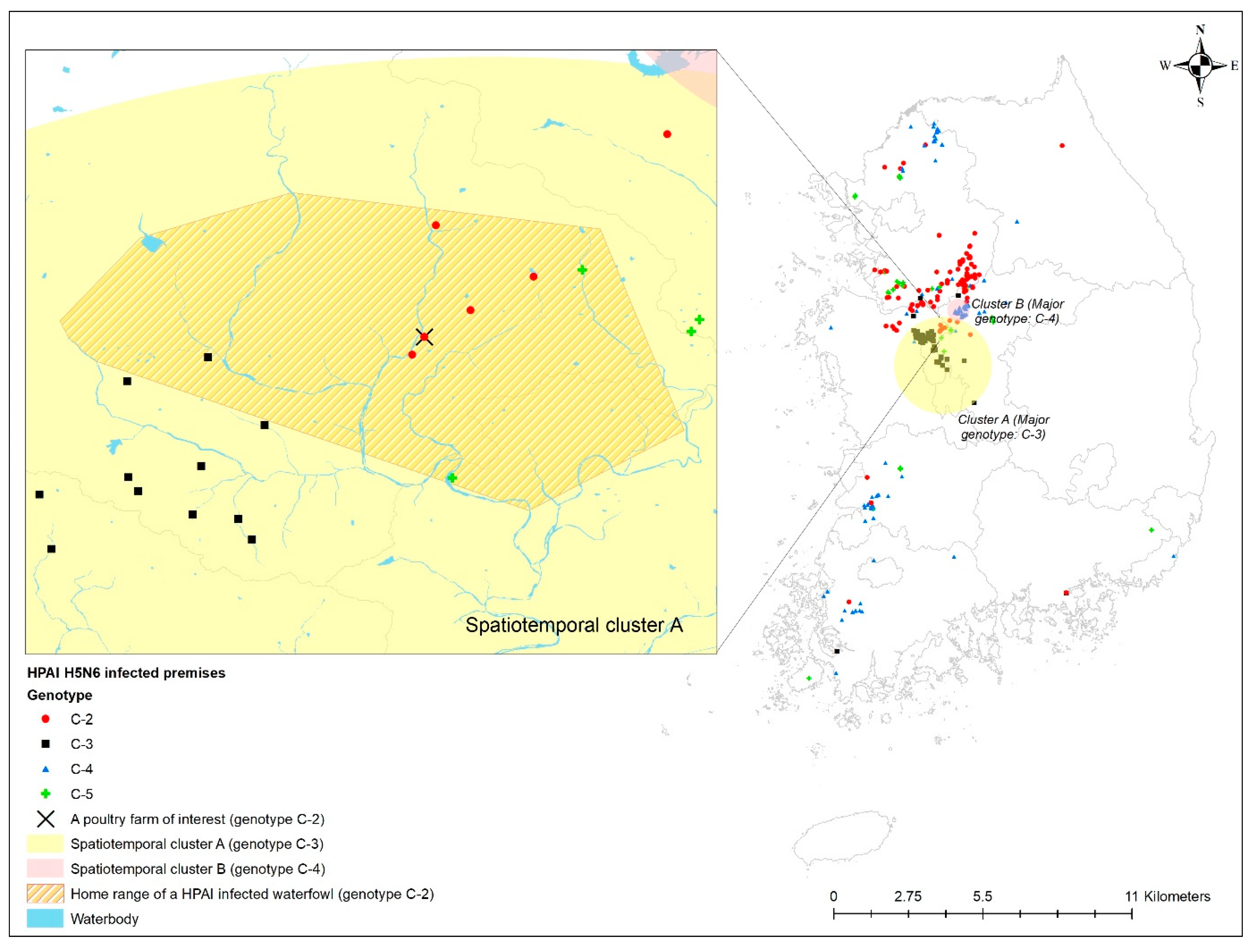 Viruses 14 00116 g004