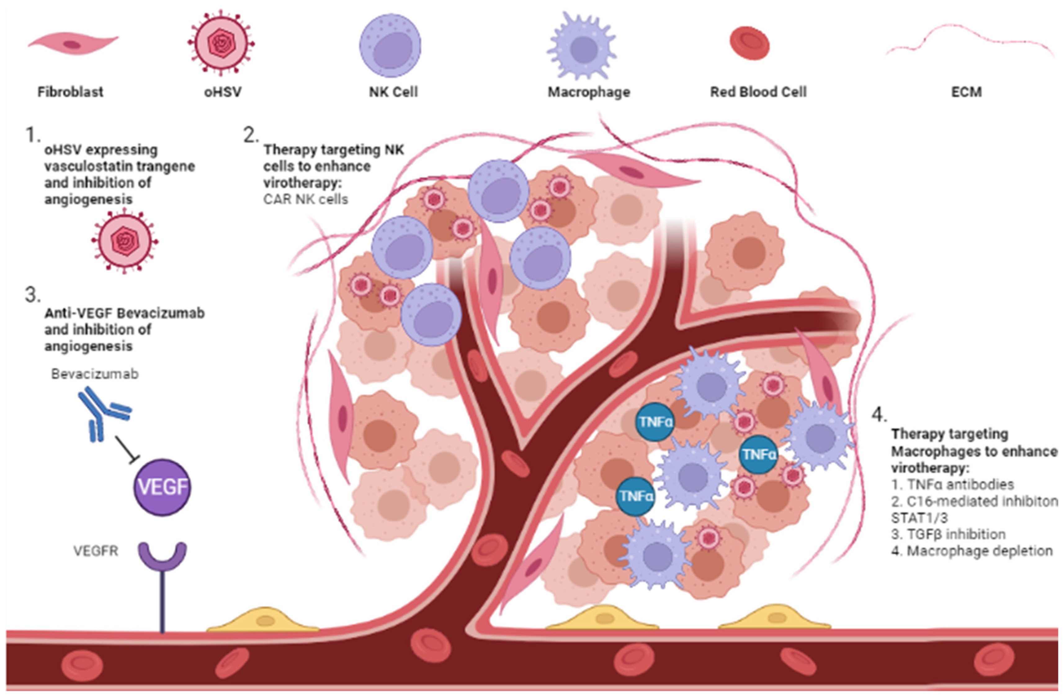 Viruses 14 00118 g003 Viruses 14 00118 g003