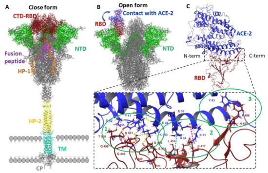 Viruses 14 00119 g001 550
