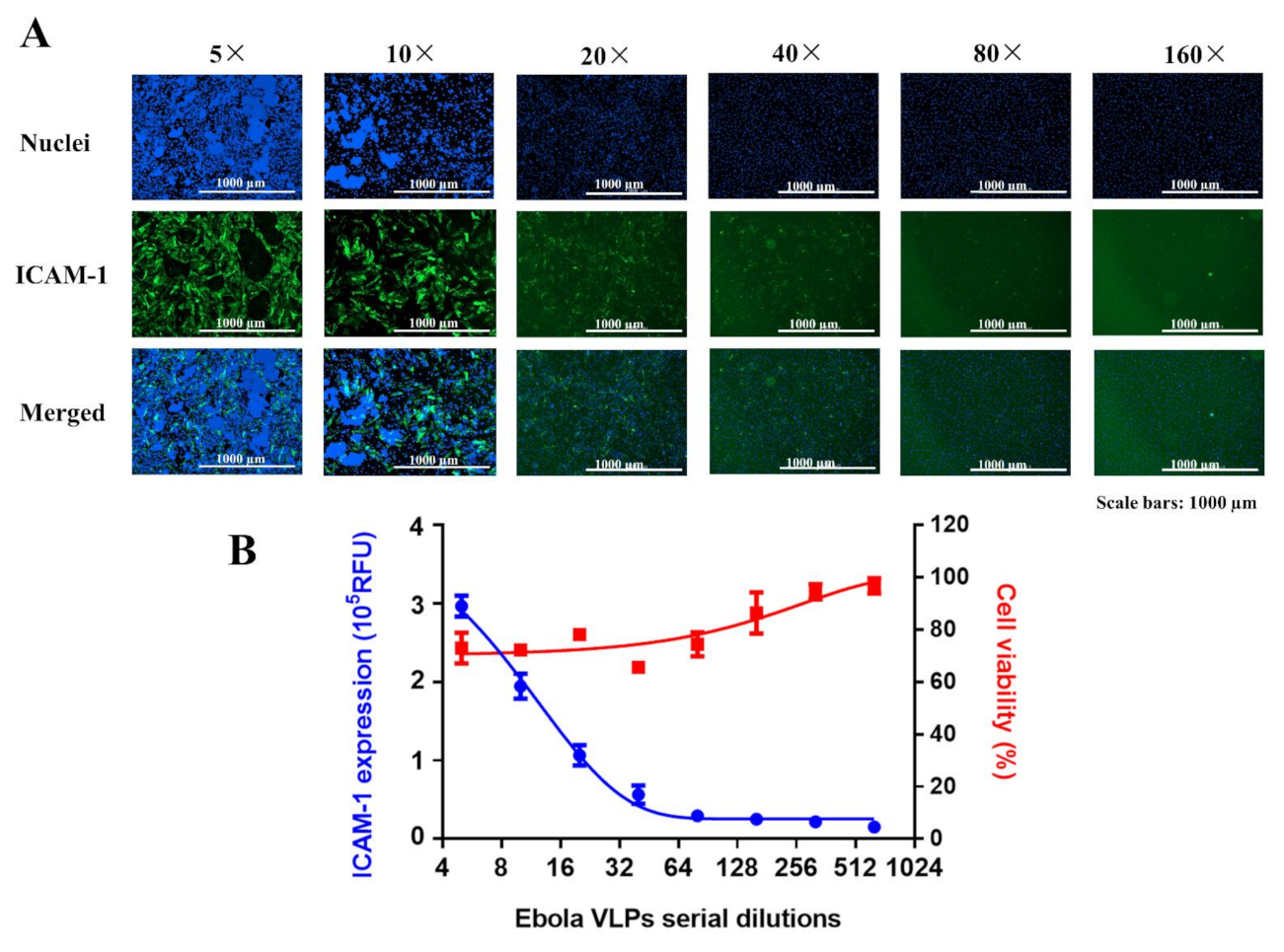 Viruses 14 00142 g002