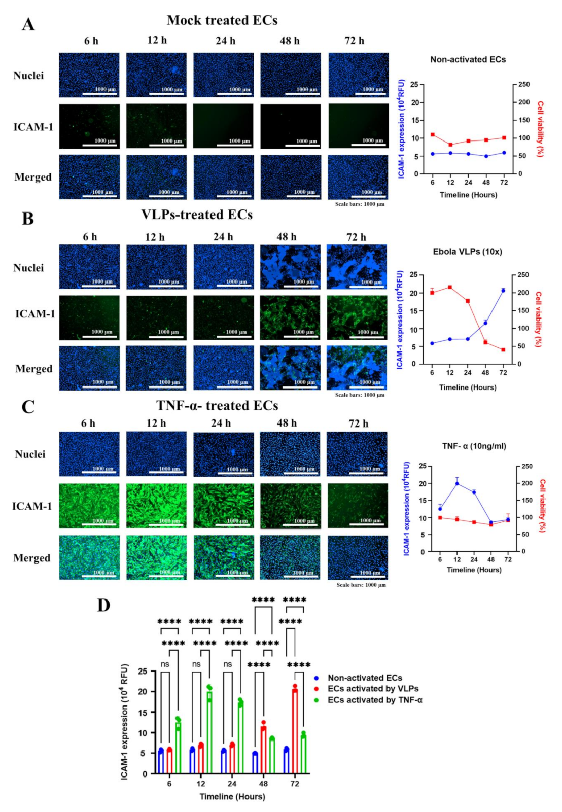 Viruses 14 00142 g003