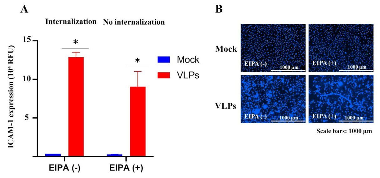 Viruses 14 00142 g004