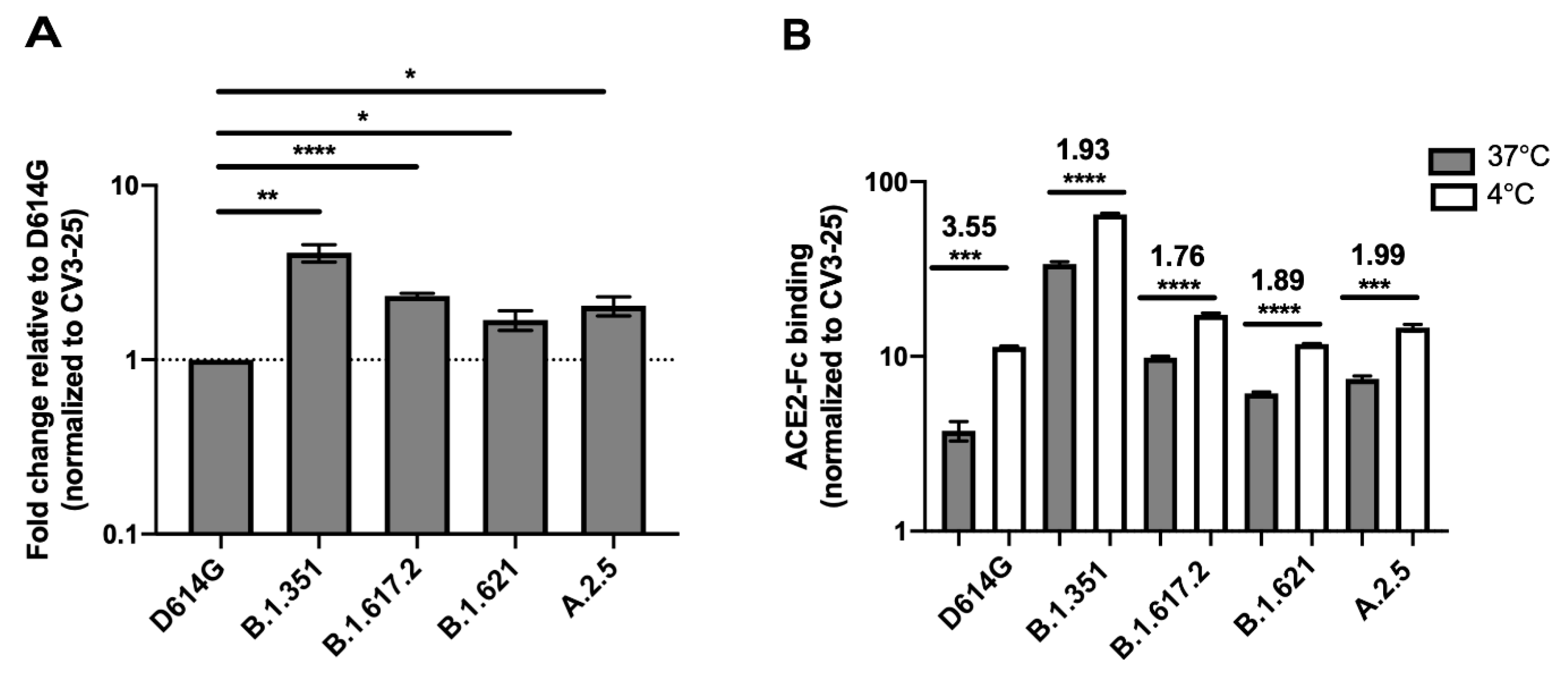 Viruses 14 00144 g001