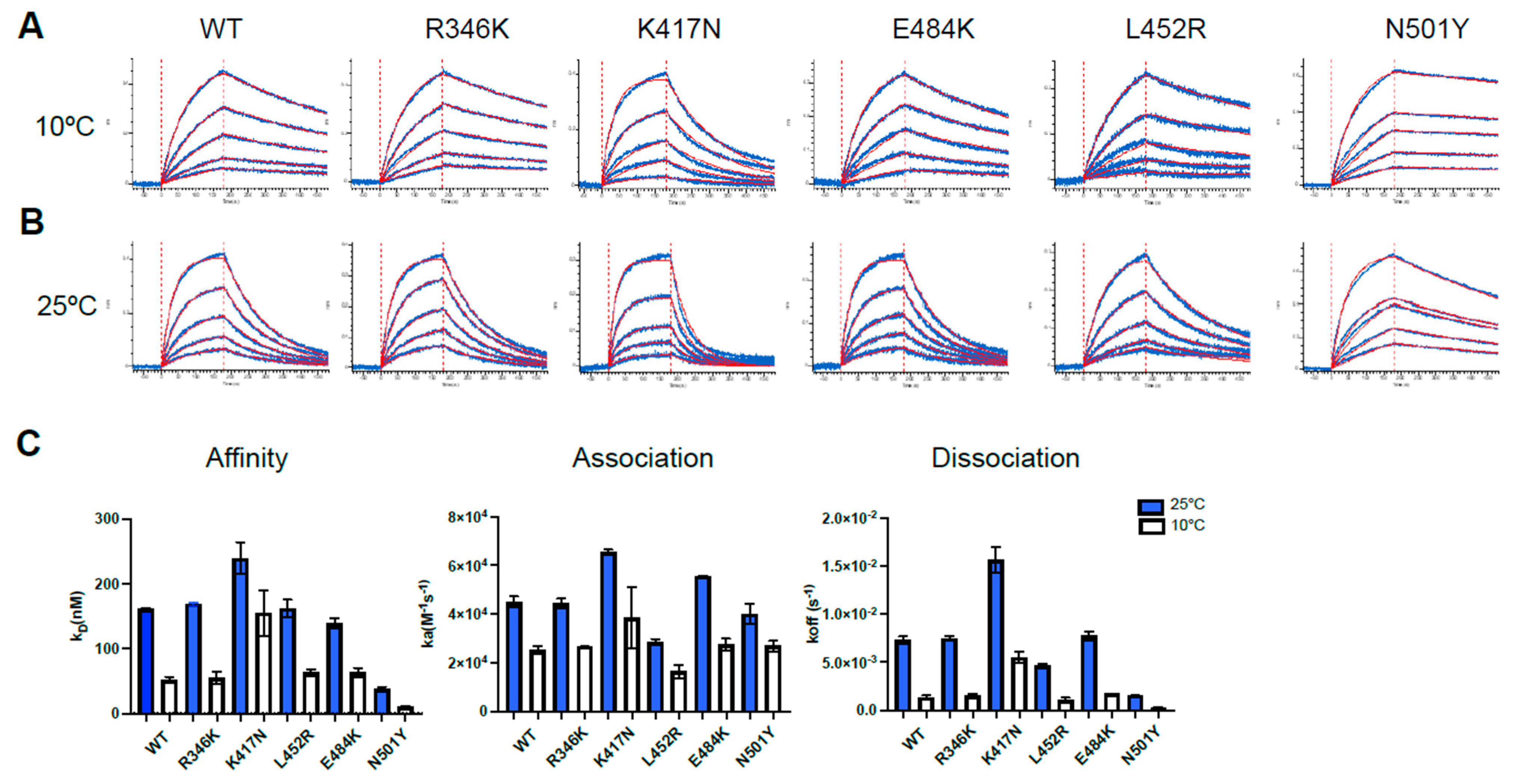 Viruses 14 00144 g002