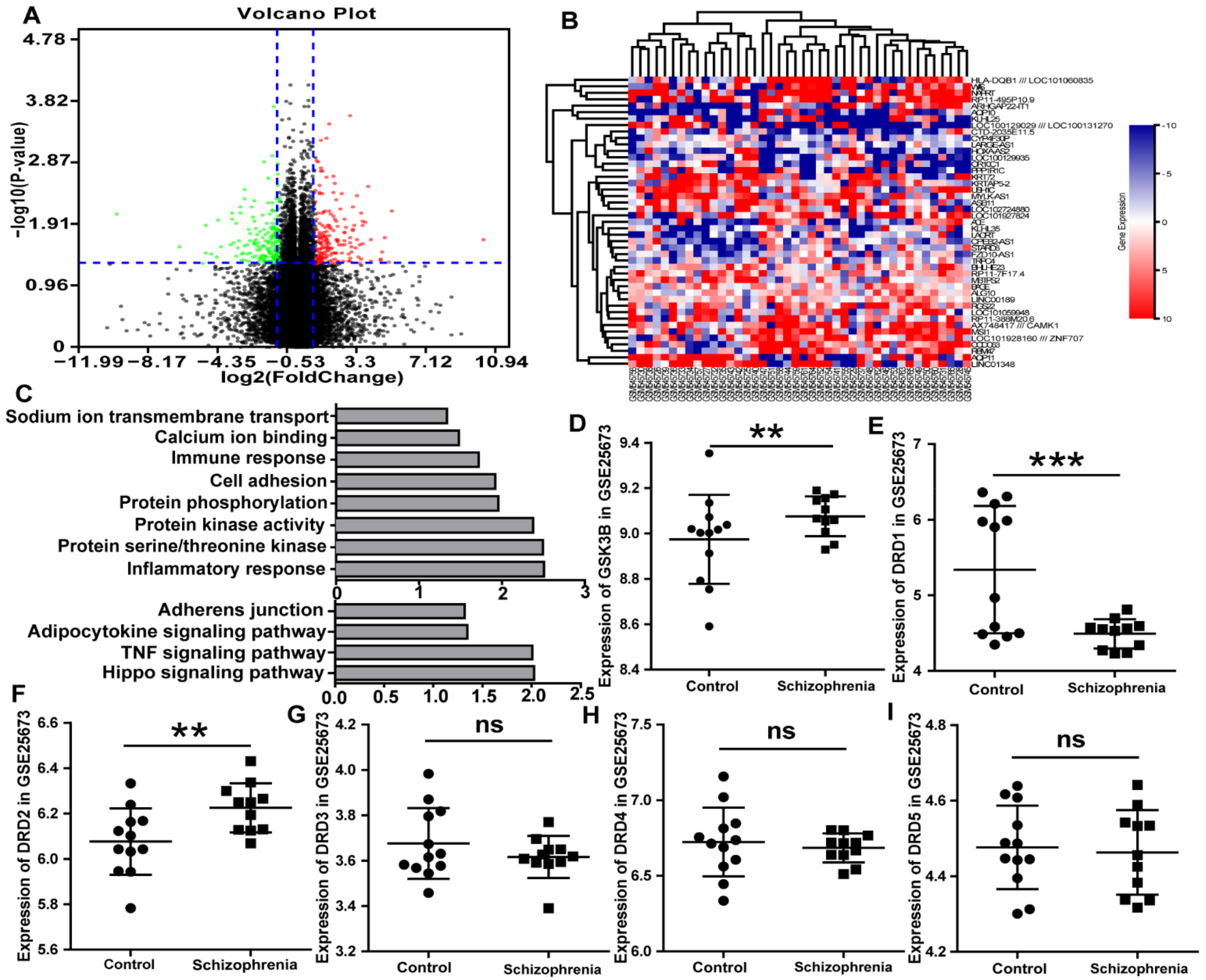 Viruses 14 00145 g001