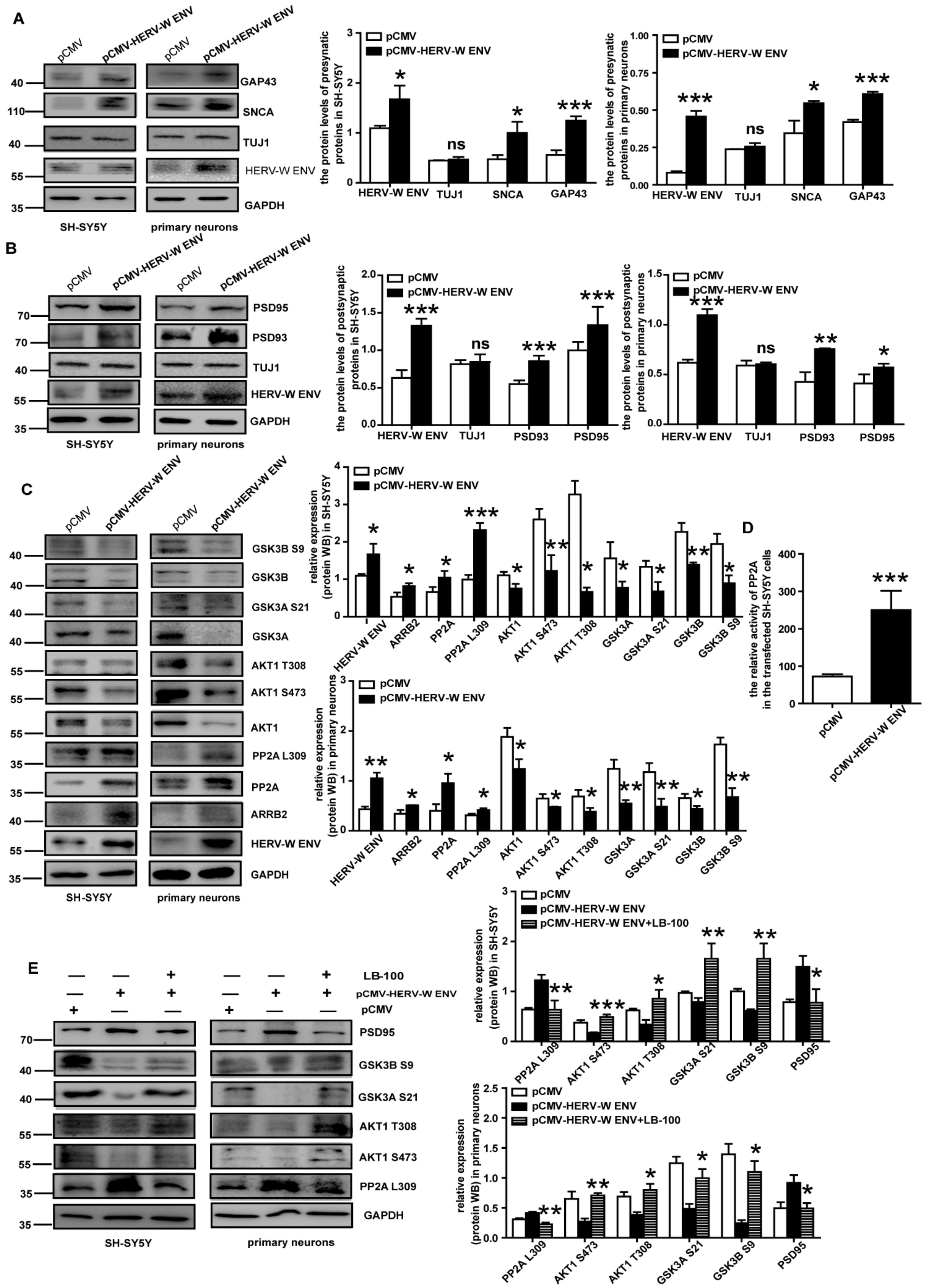 Viruses 14 00145 g005
