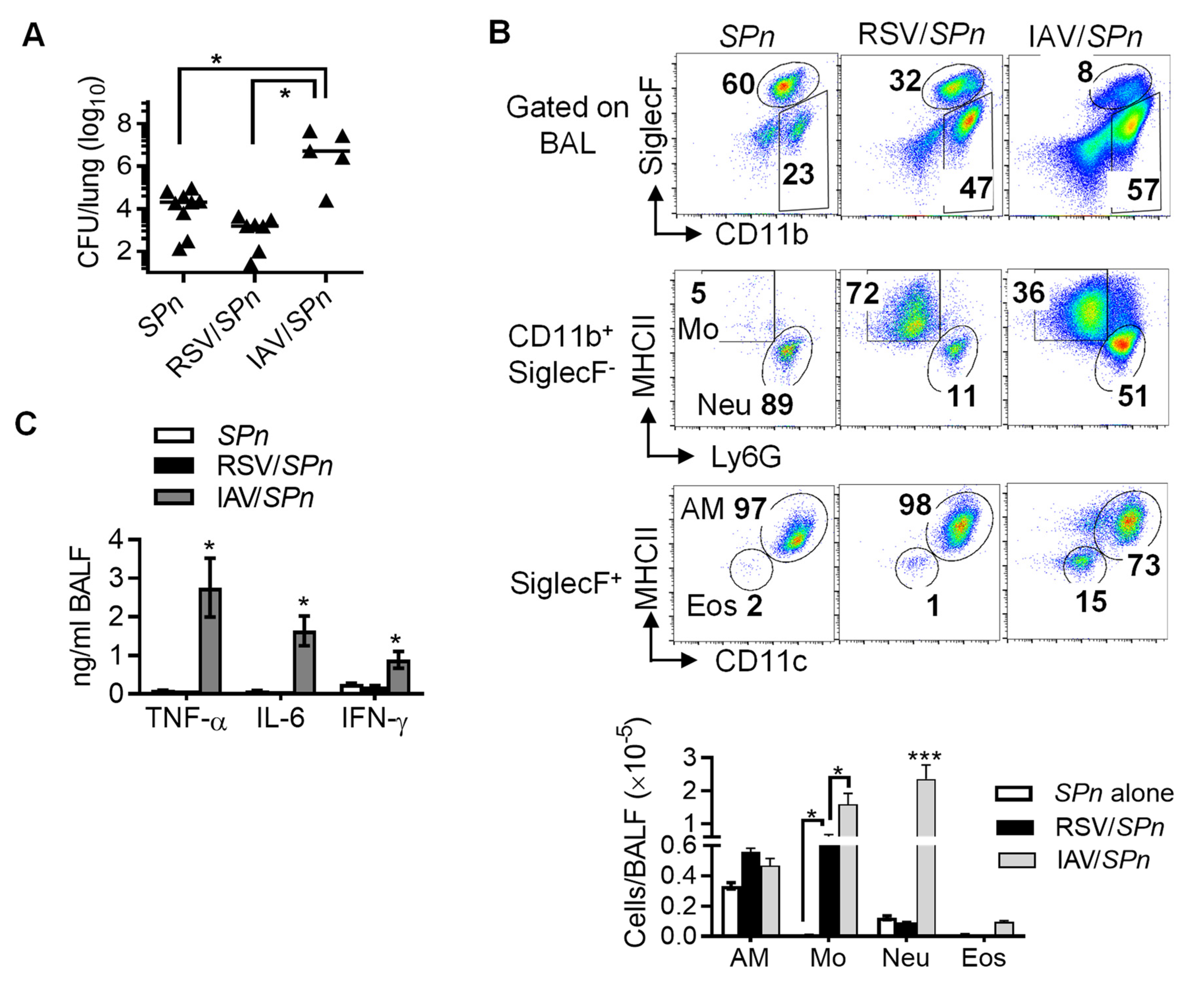 Viruses 14 00147 g001