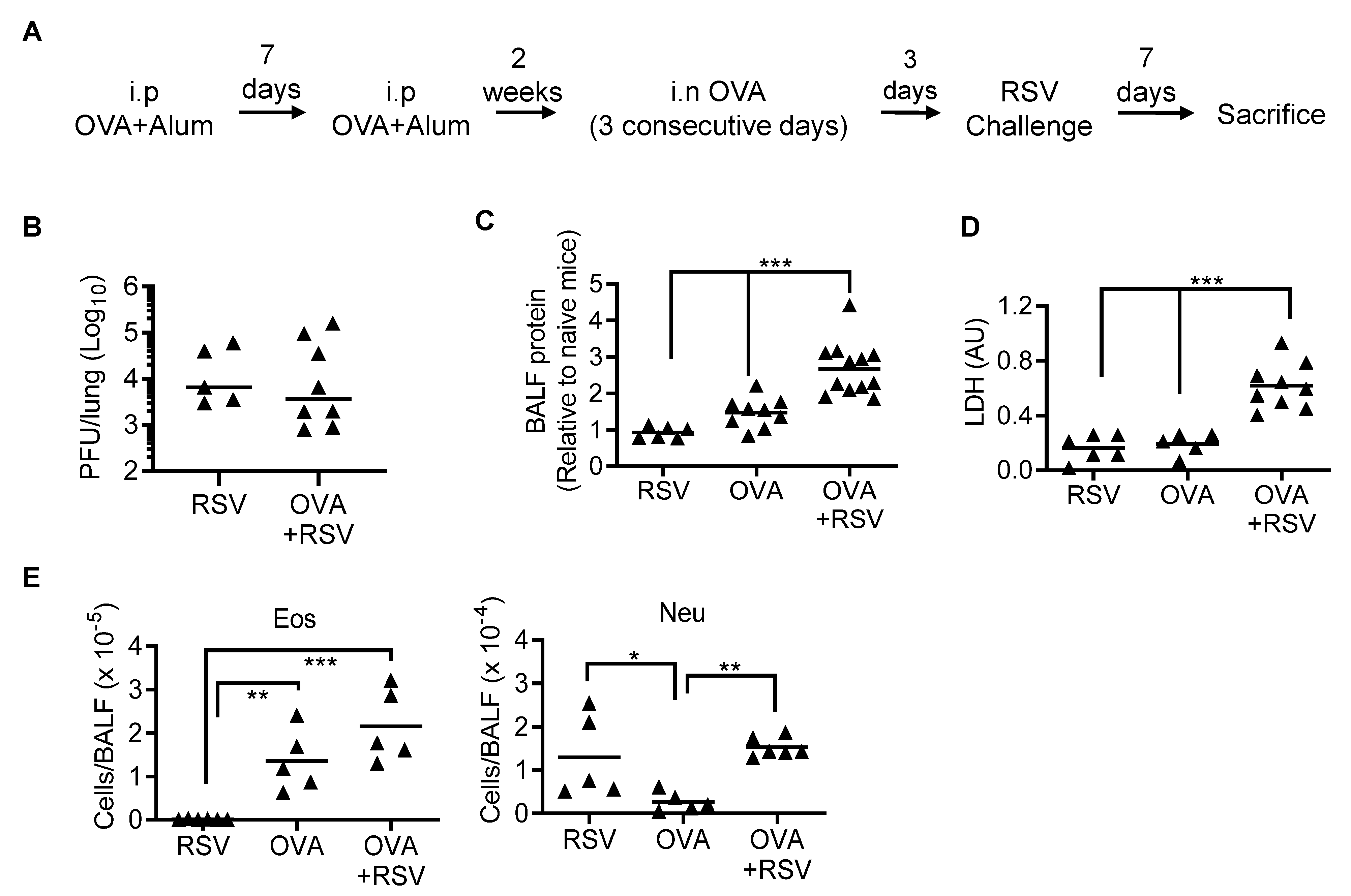 Viruses 14 00147 g002