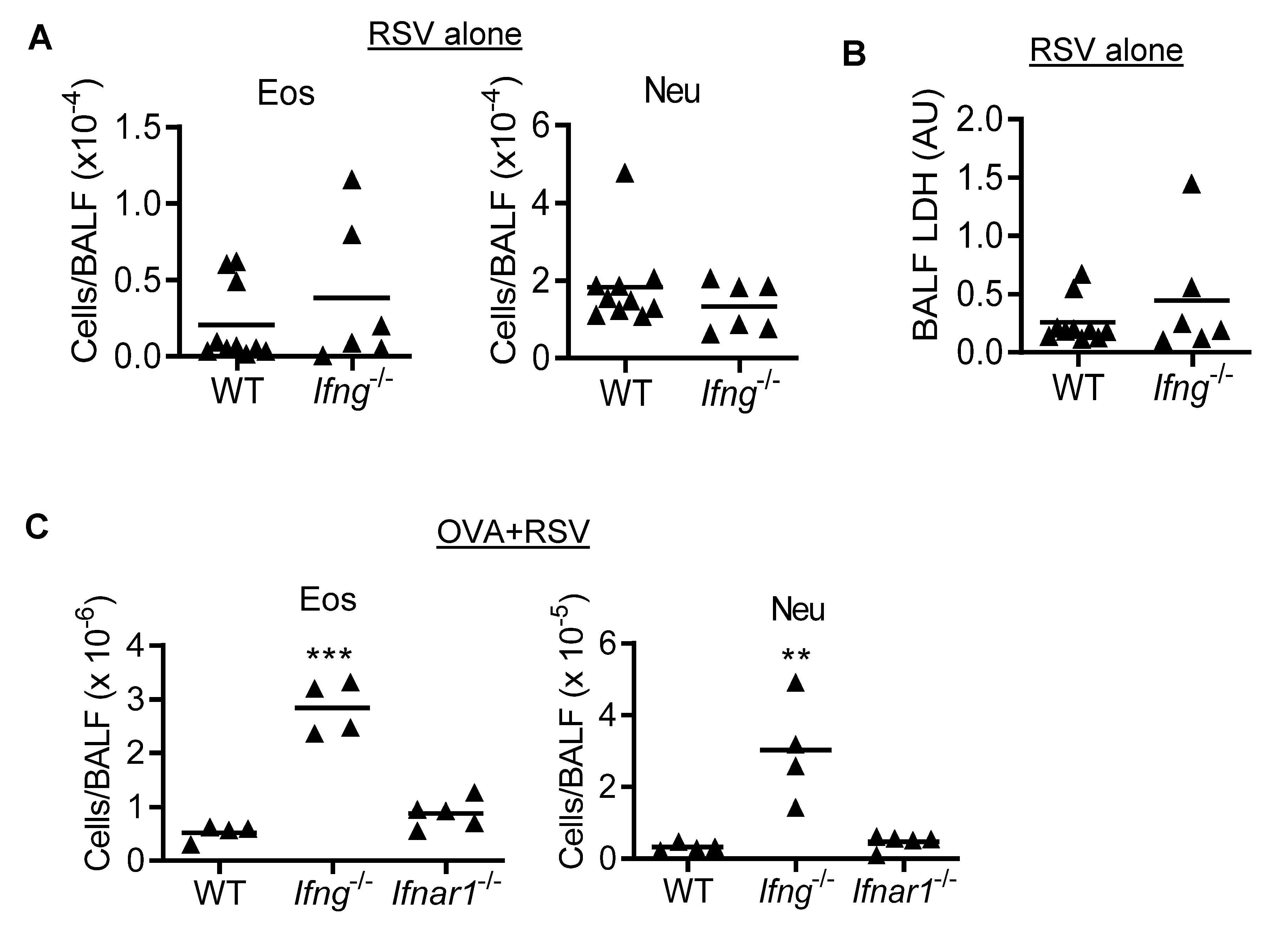 Viruses 14 00147 g003