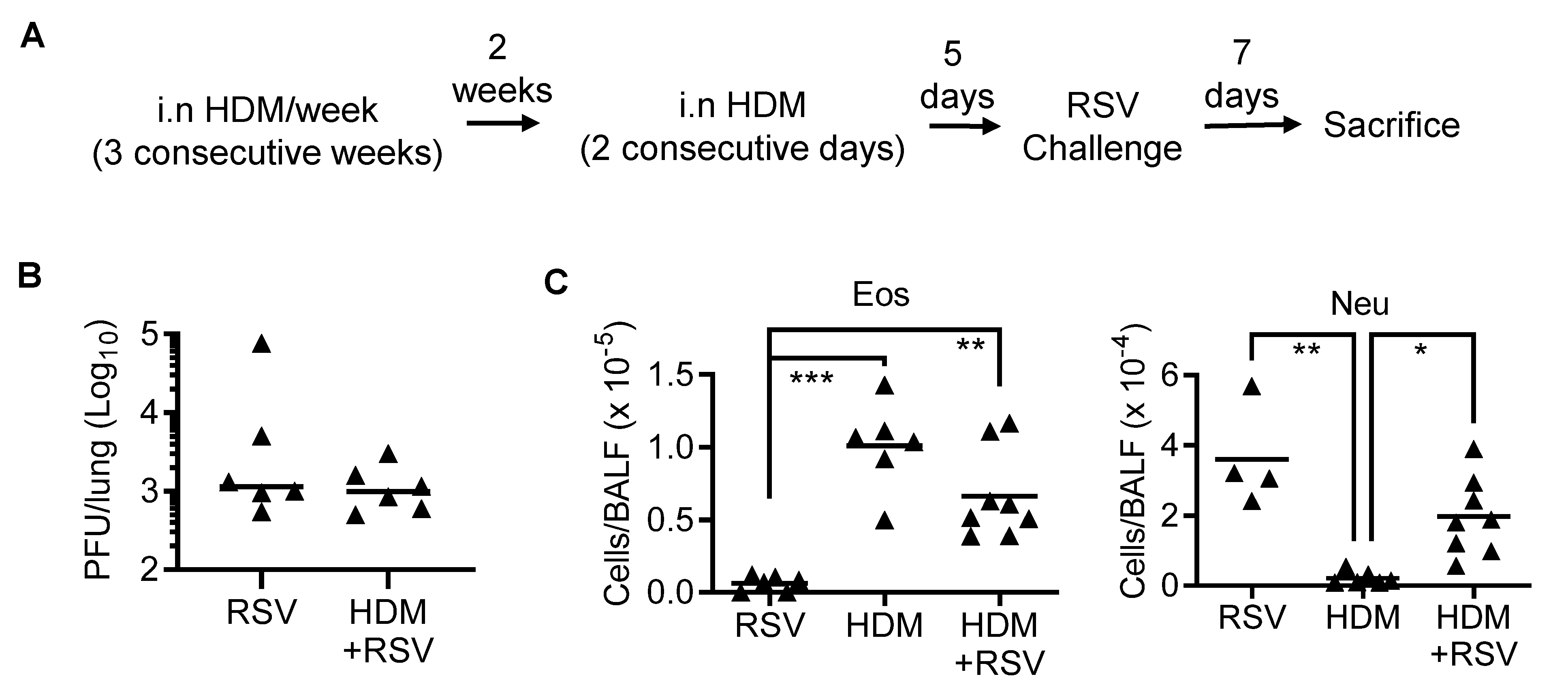 Viruses 14 00147 g004