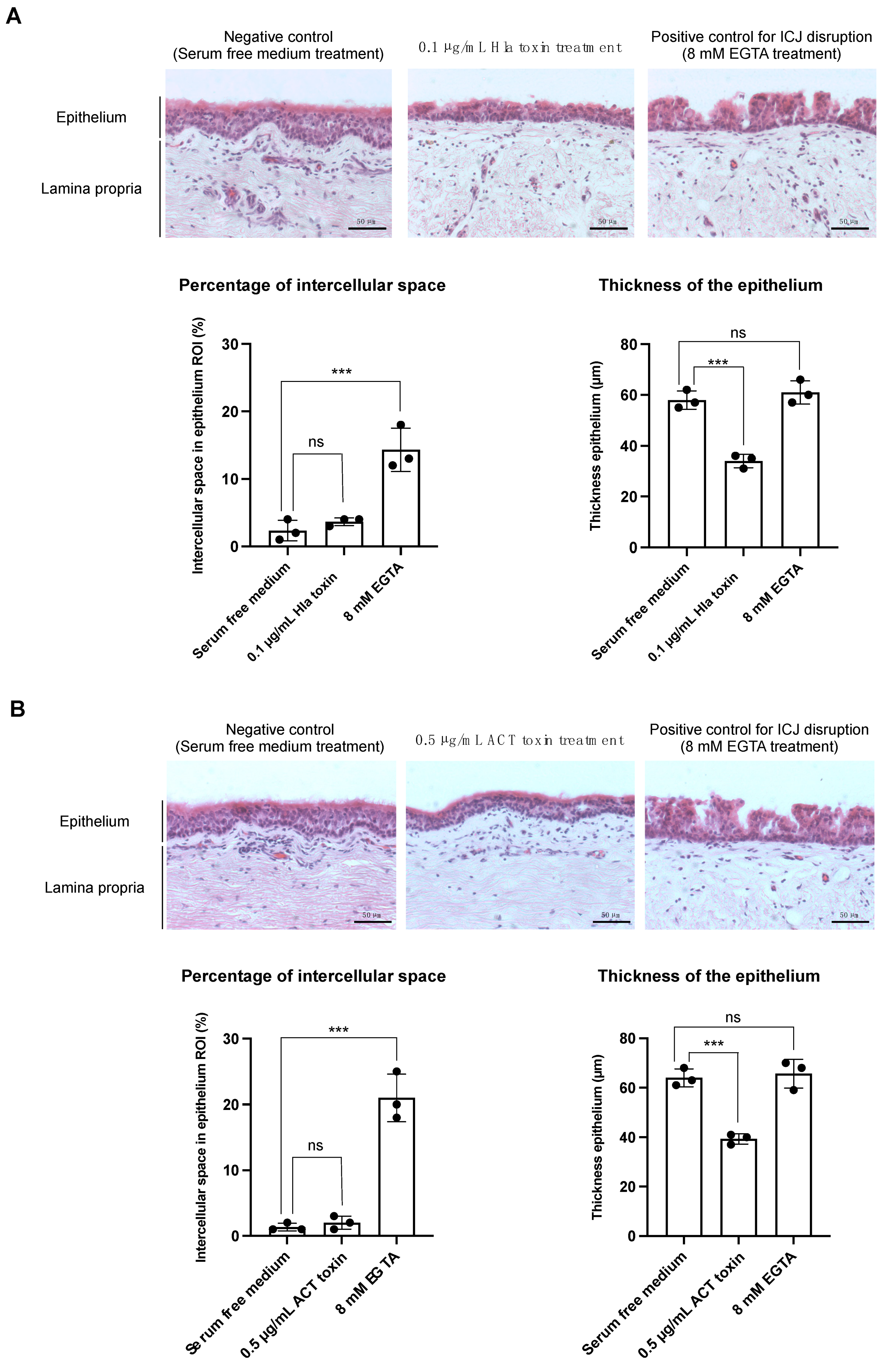 Viruses 14 00149 g001