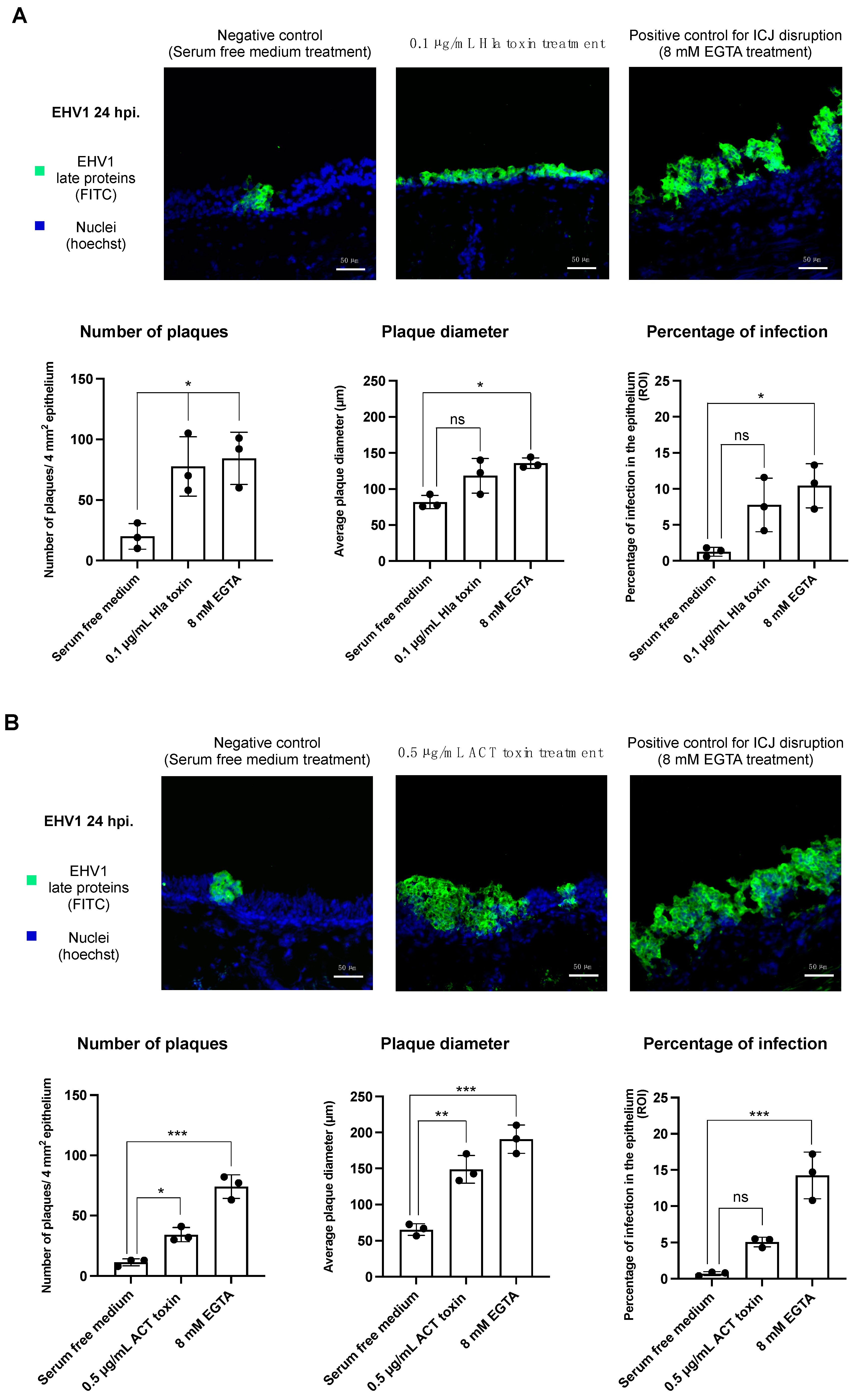 Viruses 14 00149 g002