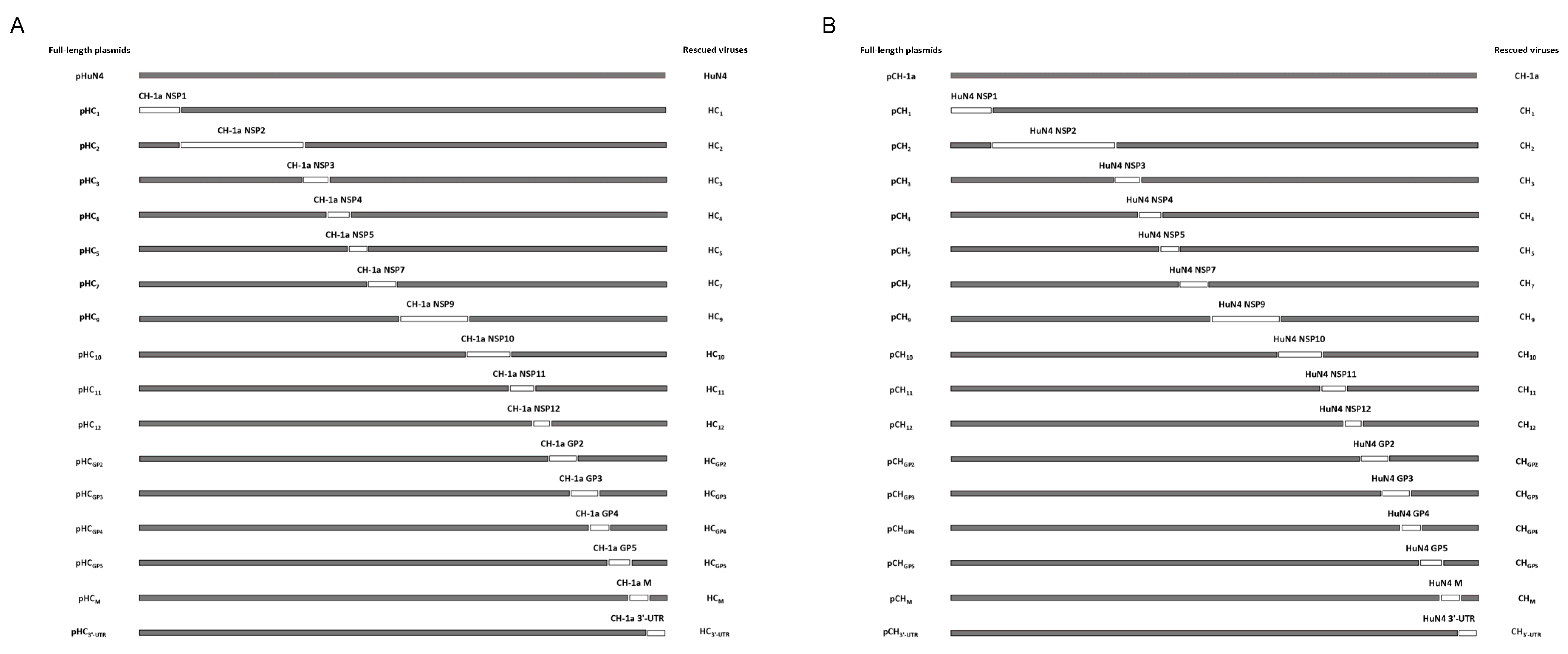 Viruses 14 00166 g001