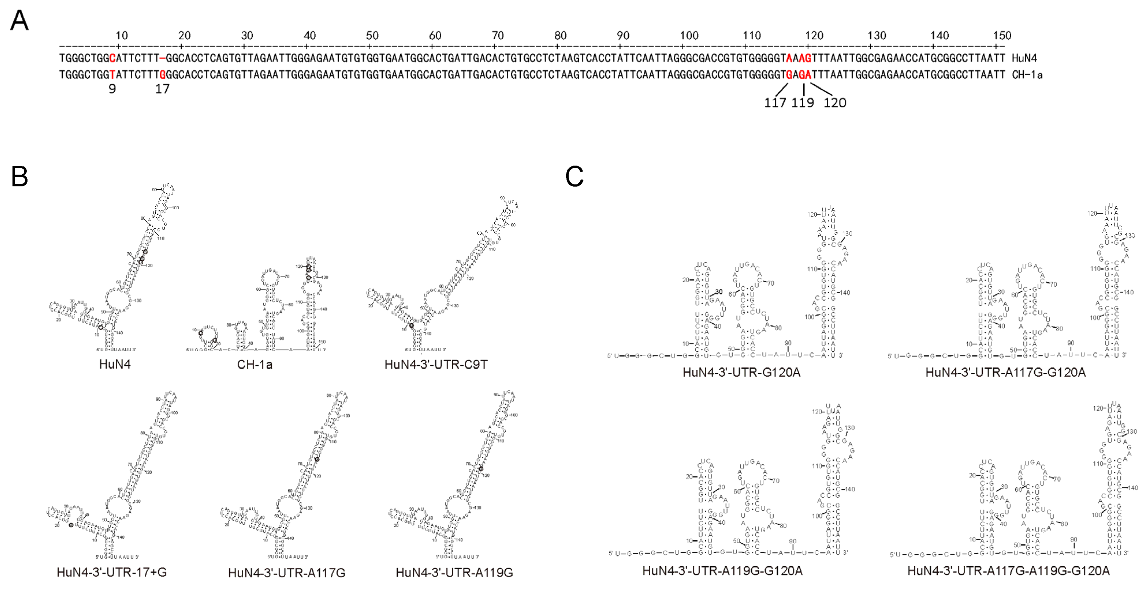 Viruses 14 00166 g003