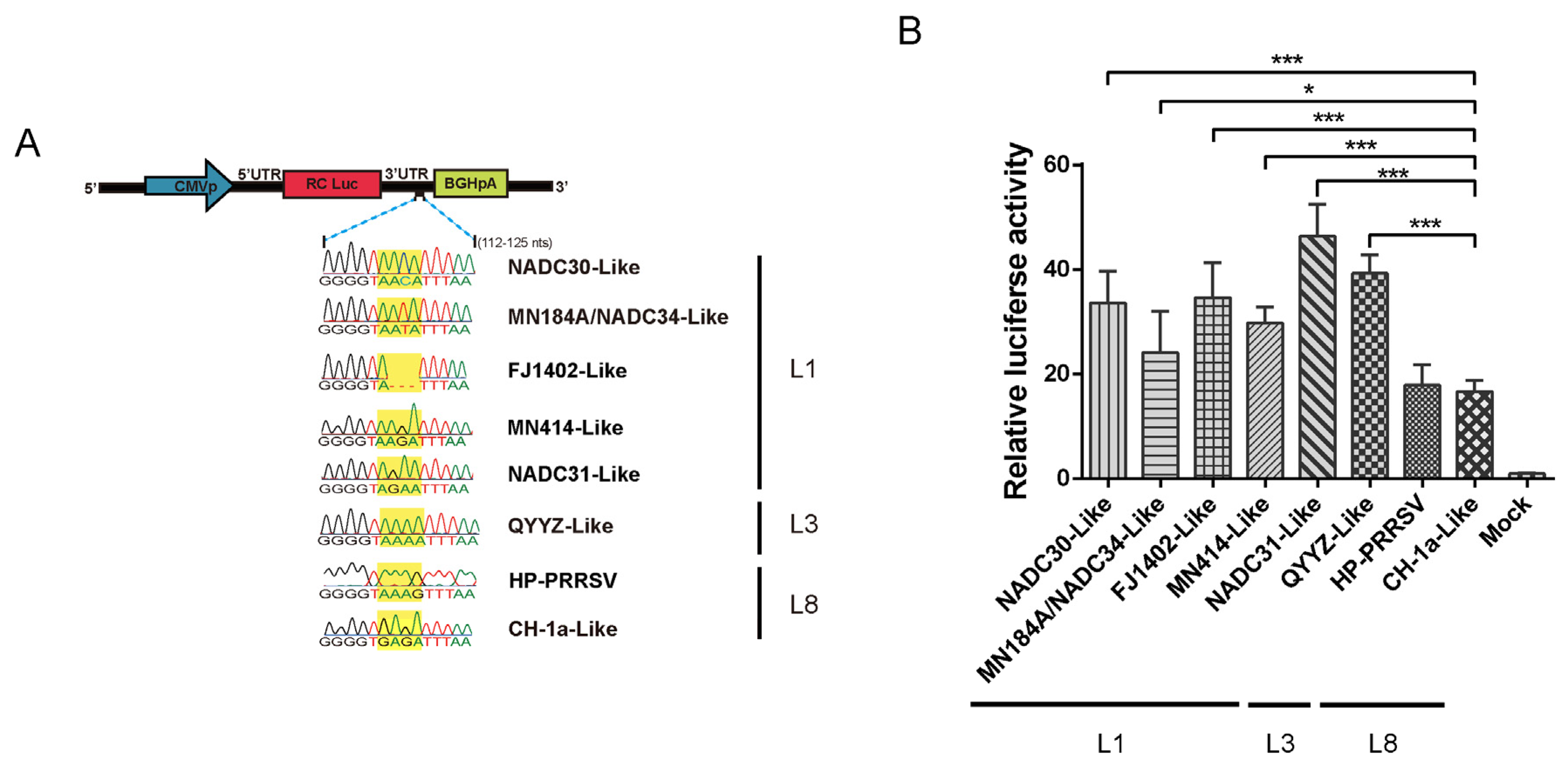 Viruses 14 00166 g006