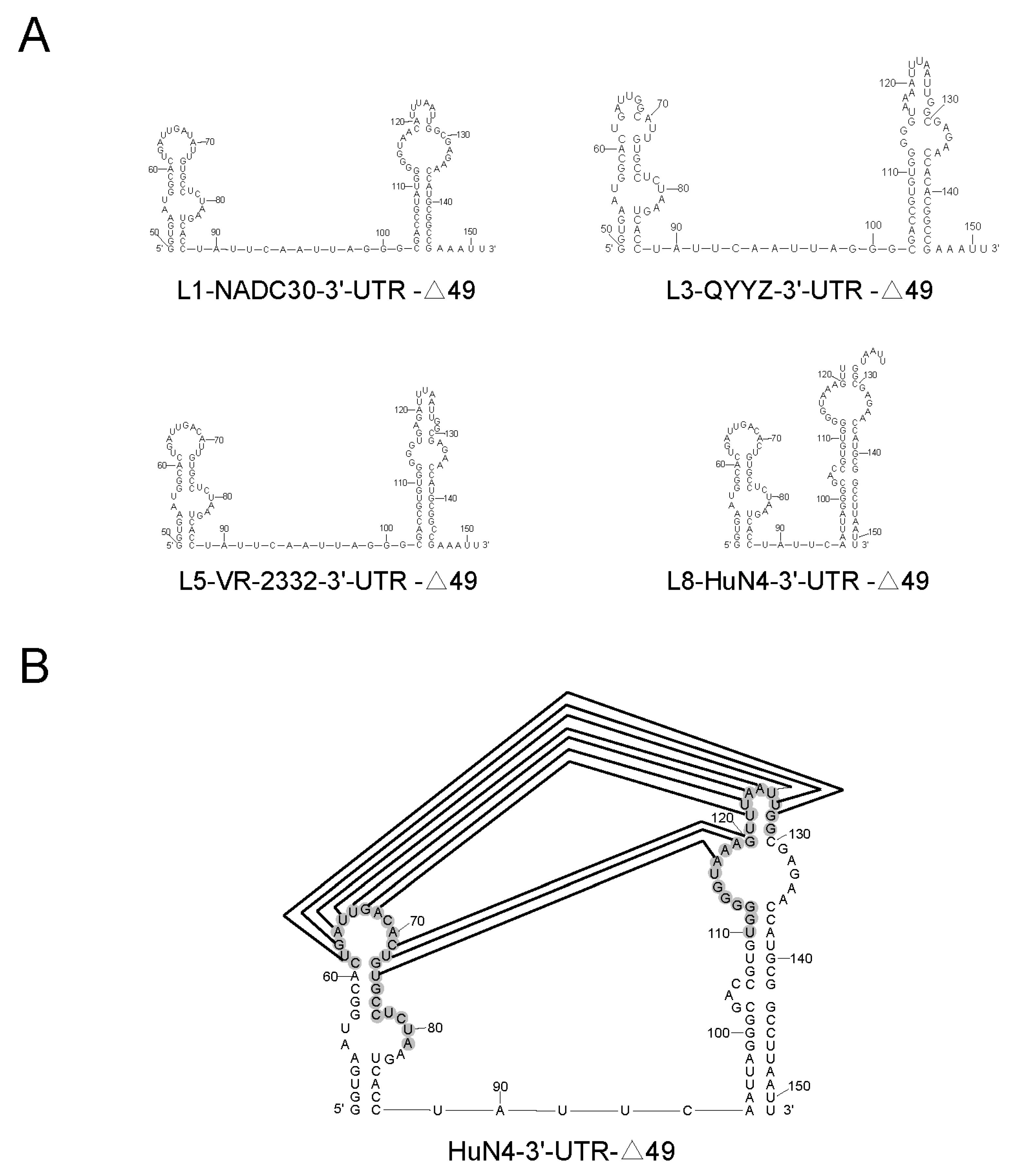 Viruses 14 00166 g007