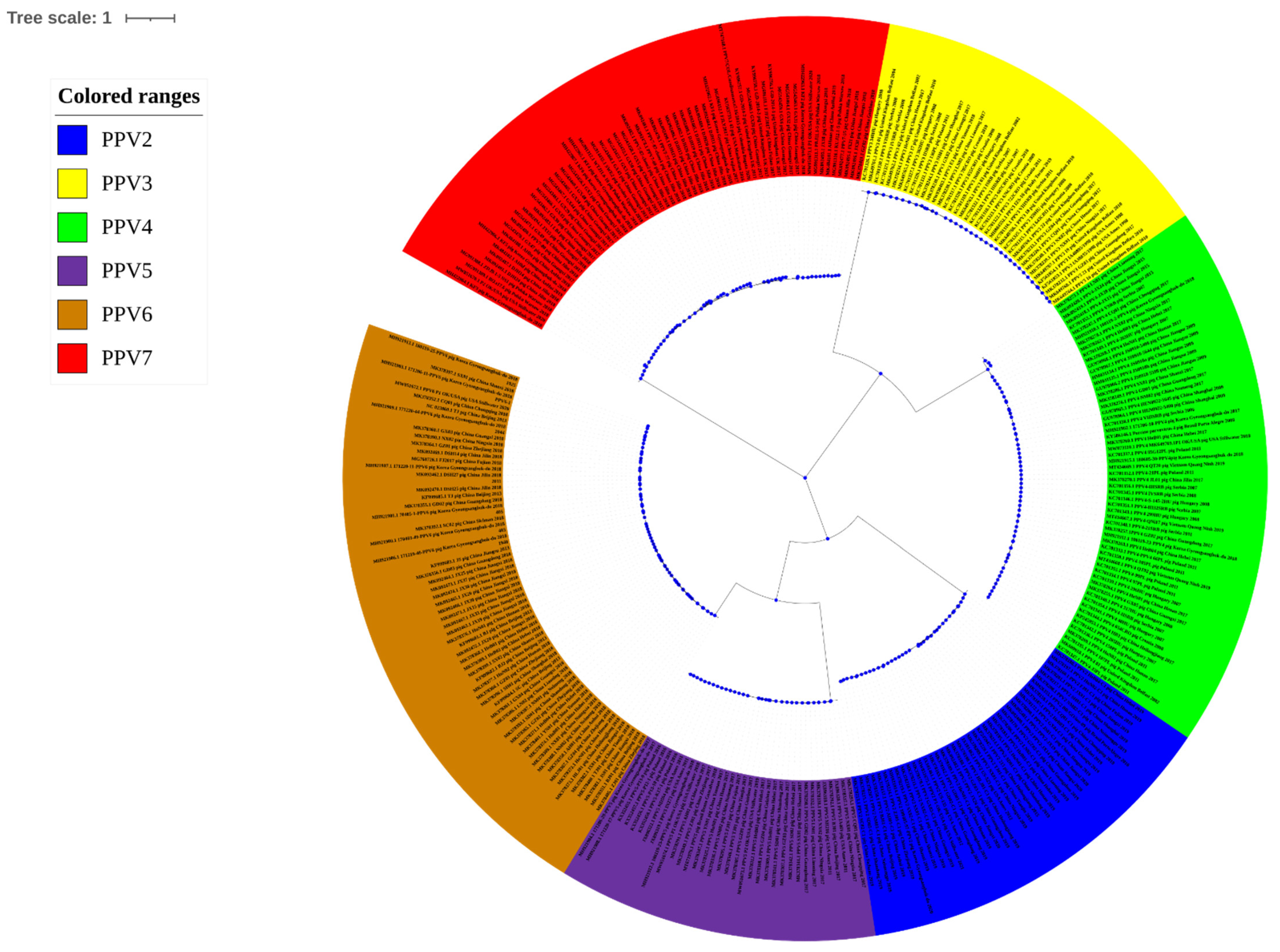 Viruses 14 00170 g001