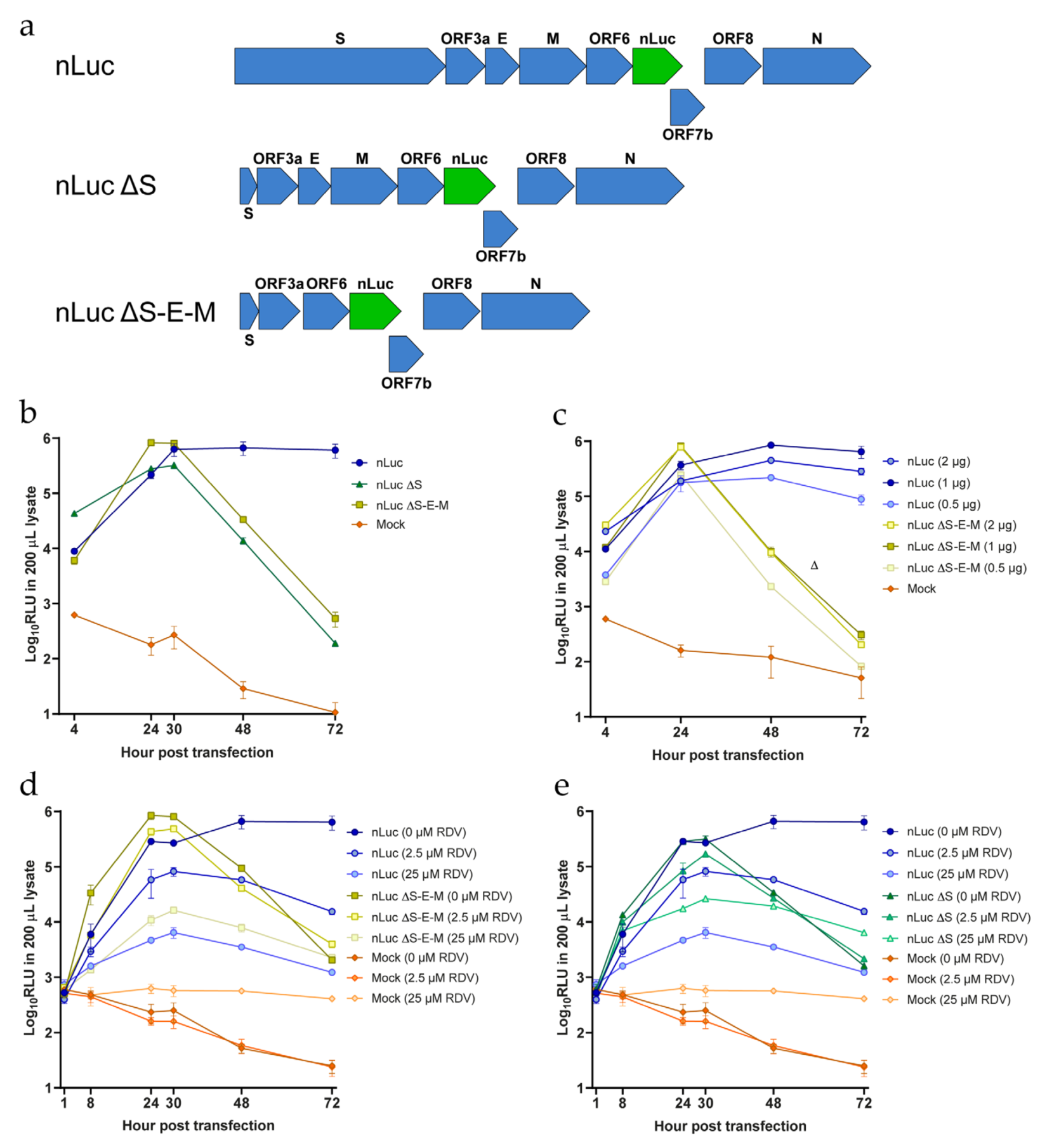 Viruses 14 00172 g005