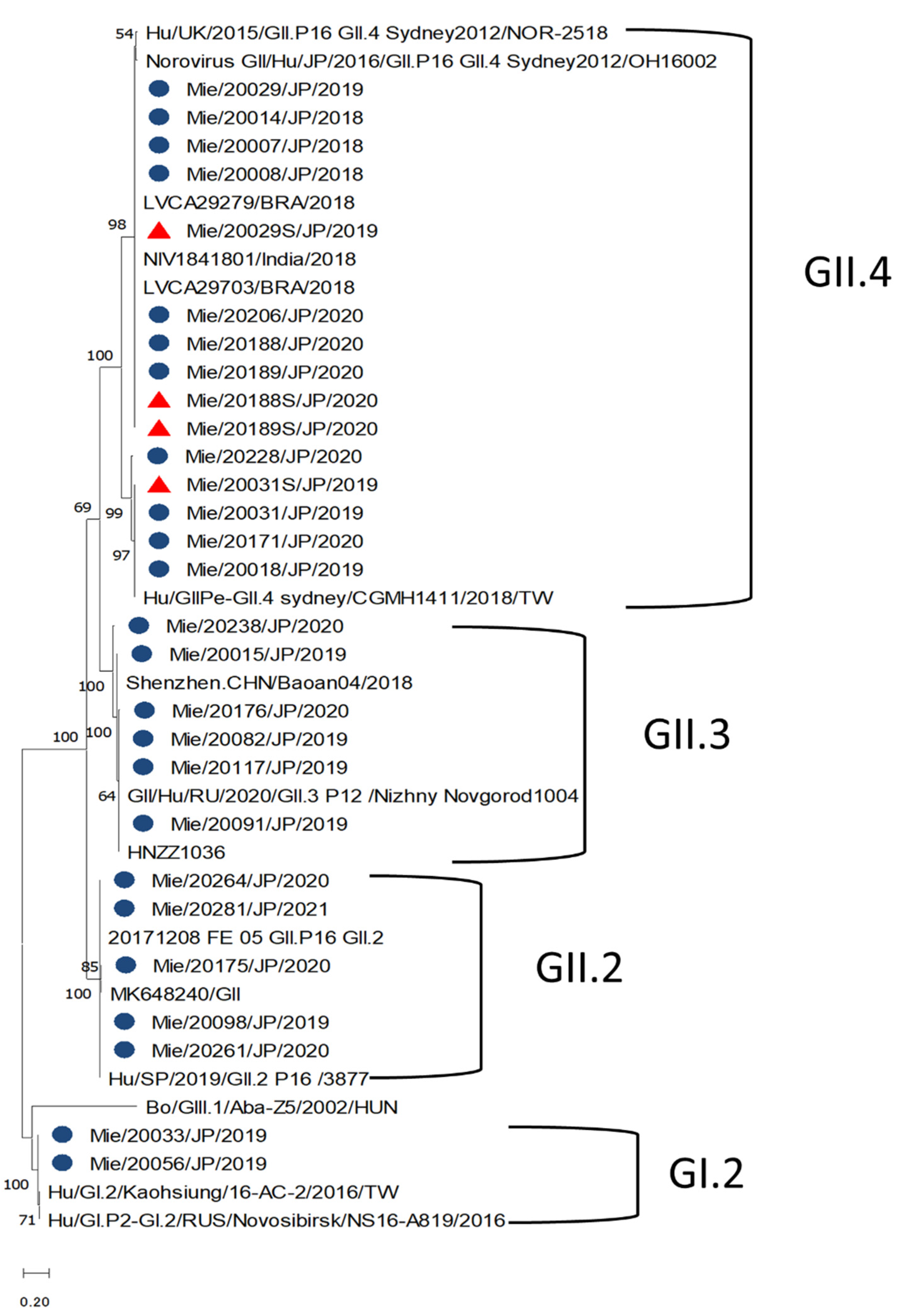 Viruses 14 00173 g005
