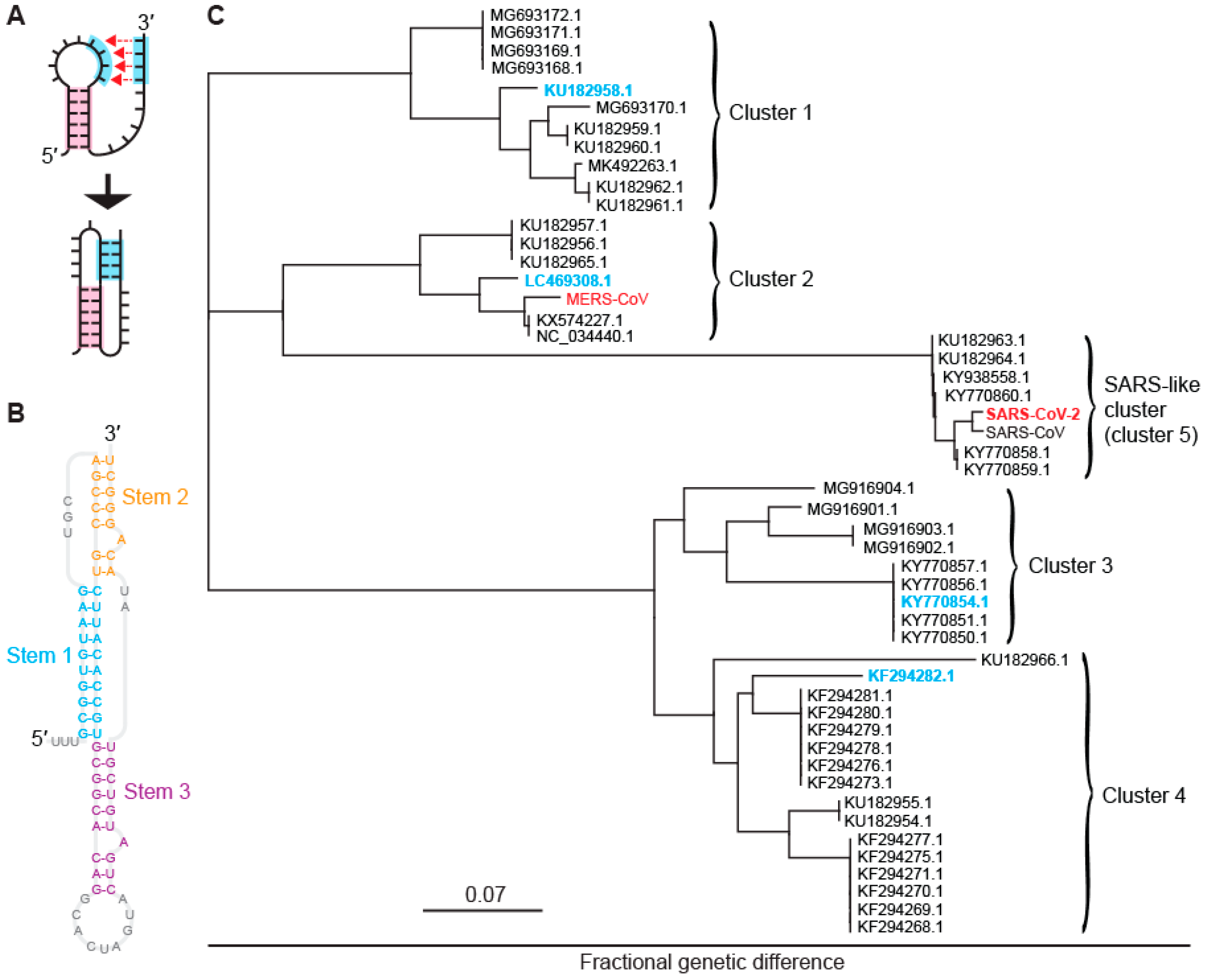 Viruses 14 00177 g001