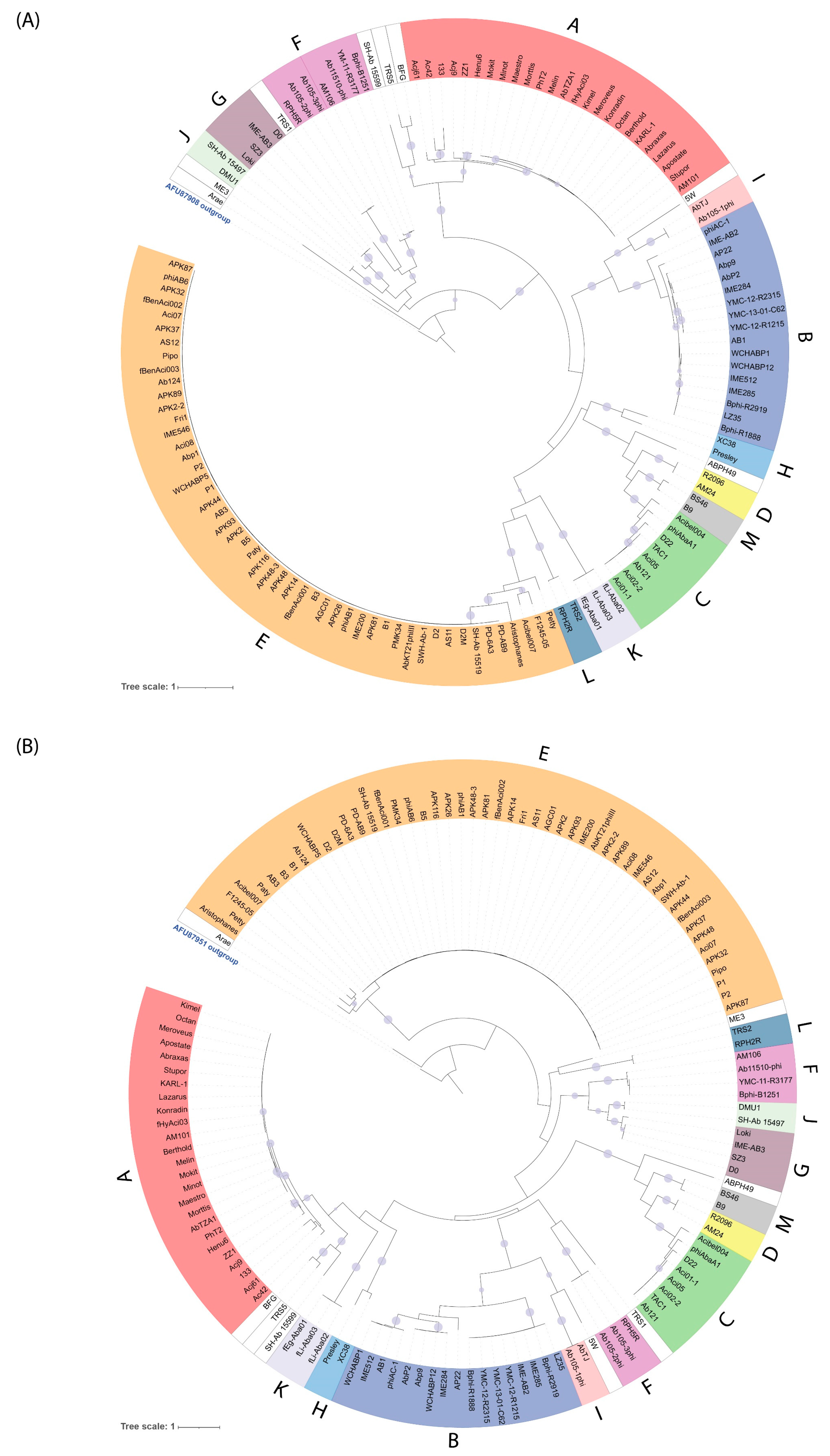 Viruses 14 00181 g003