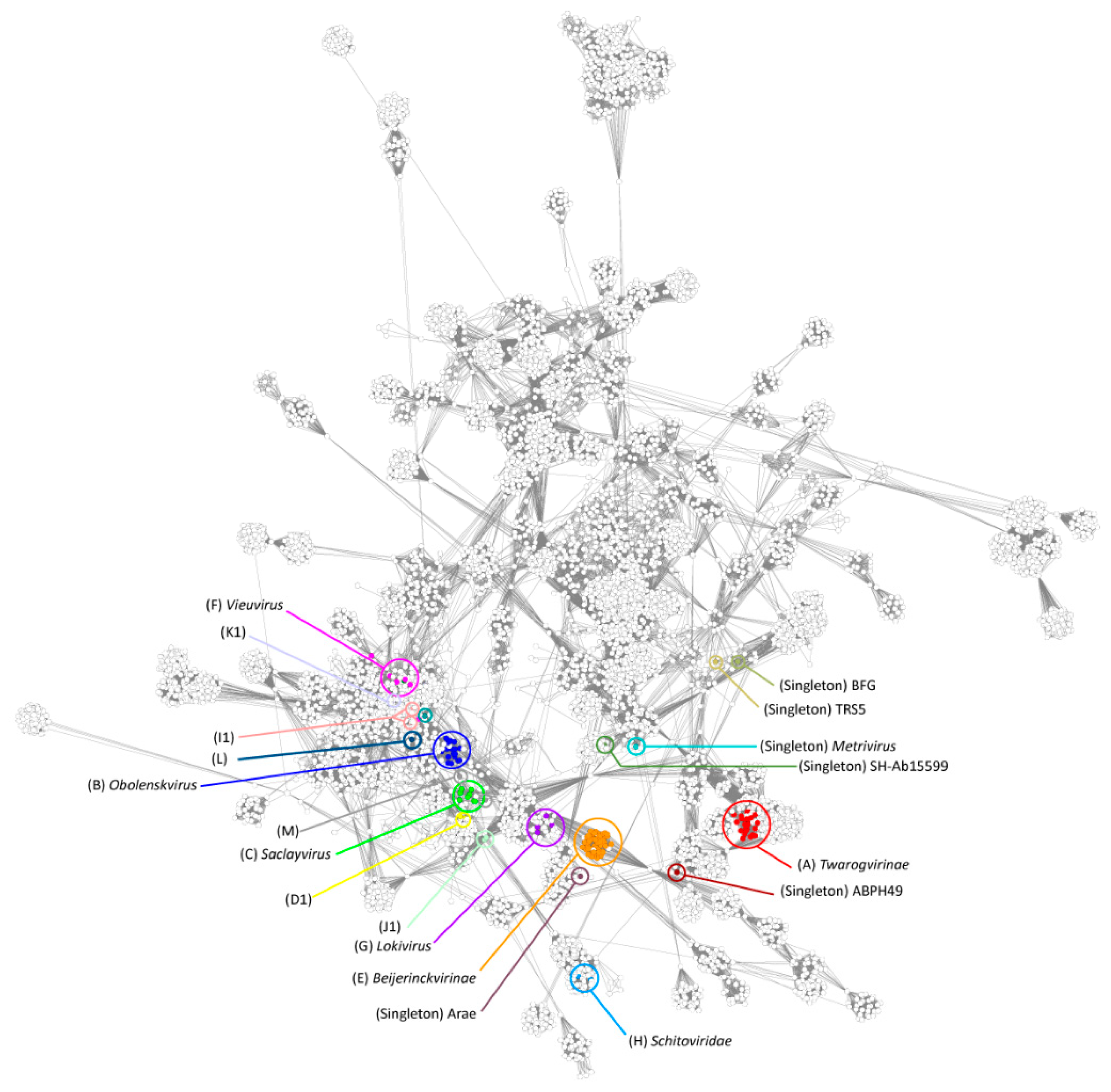 Viruses 14 00181 g004