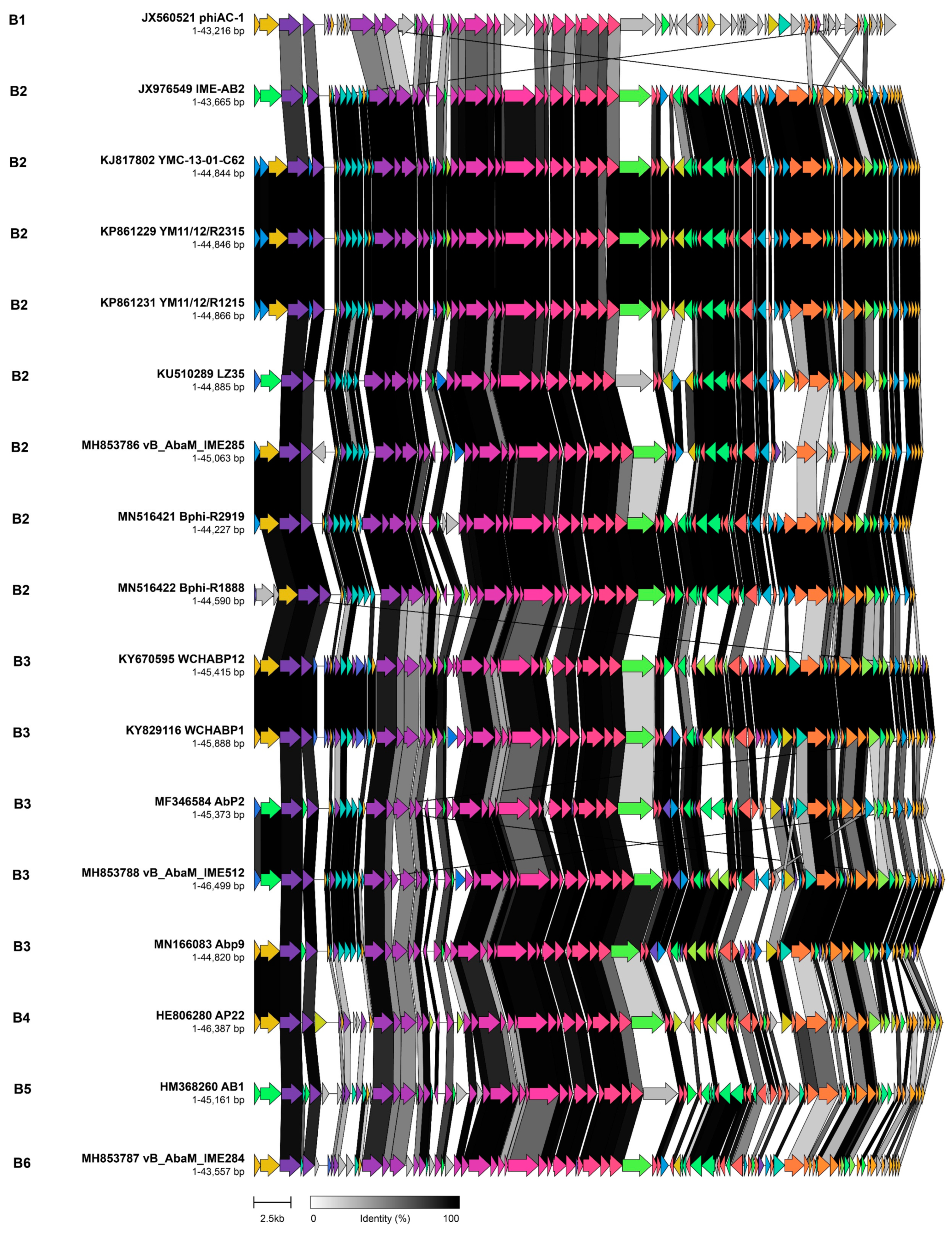 Viruses 14 00181 g005