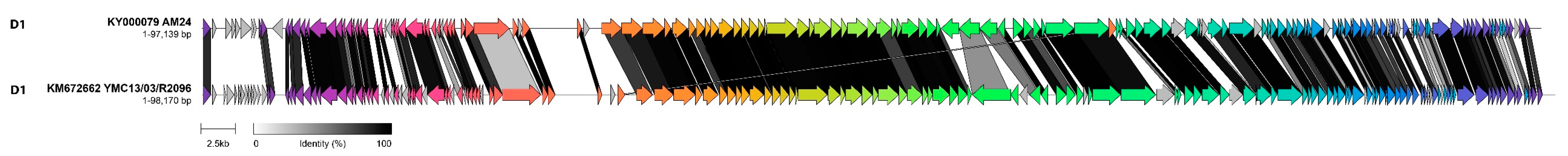 Viruses 14 00181 g007