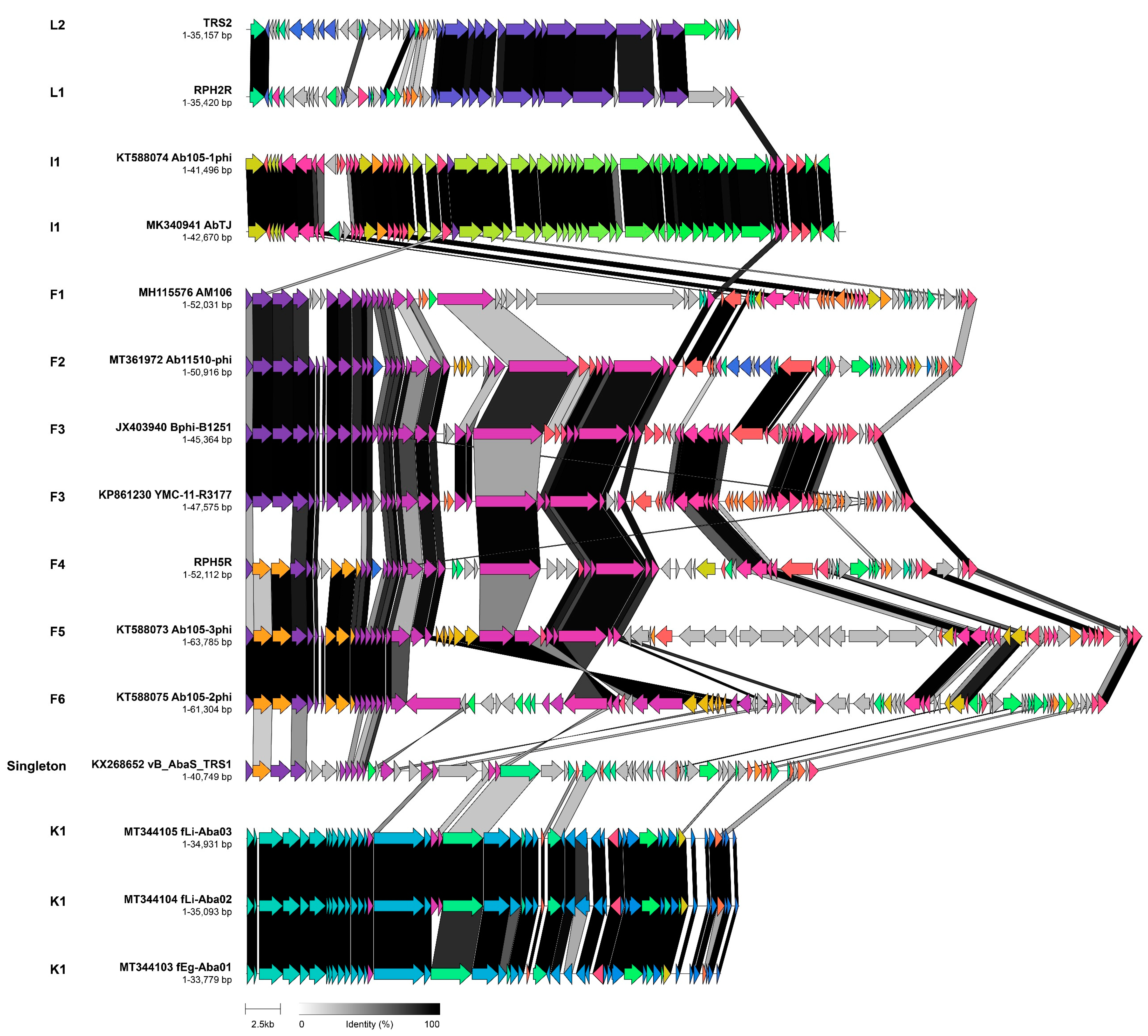 Viruses 14 00181 g008