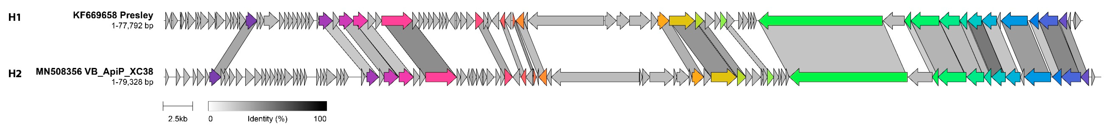 Viruses 14 00181 g012