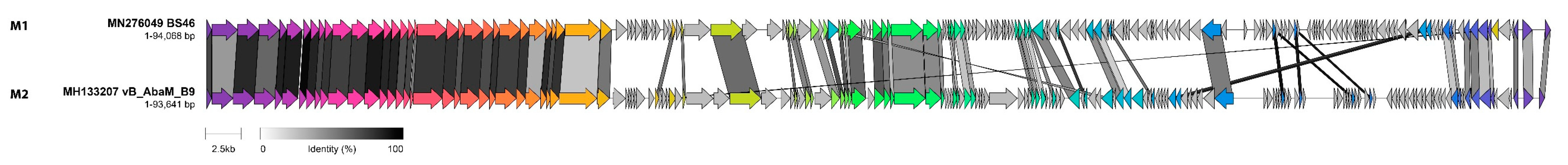 Viruses 14 00181 g013