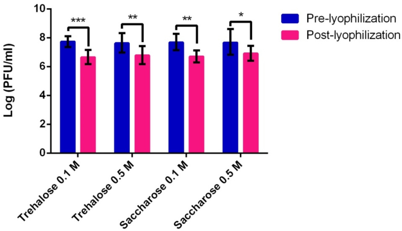 Viruses 14 00183 g001