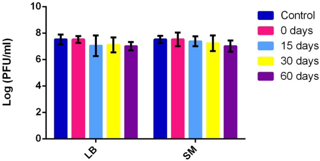 Viruses 14 00183 g003