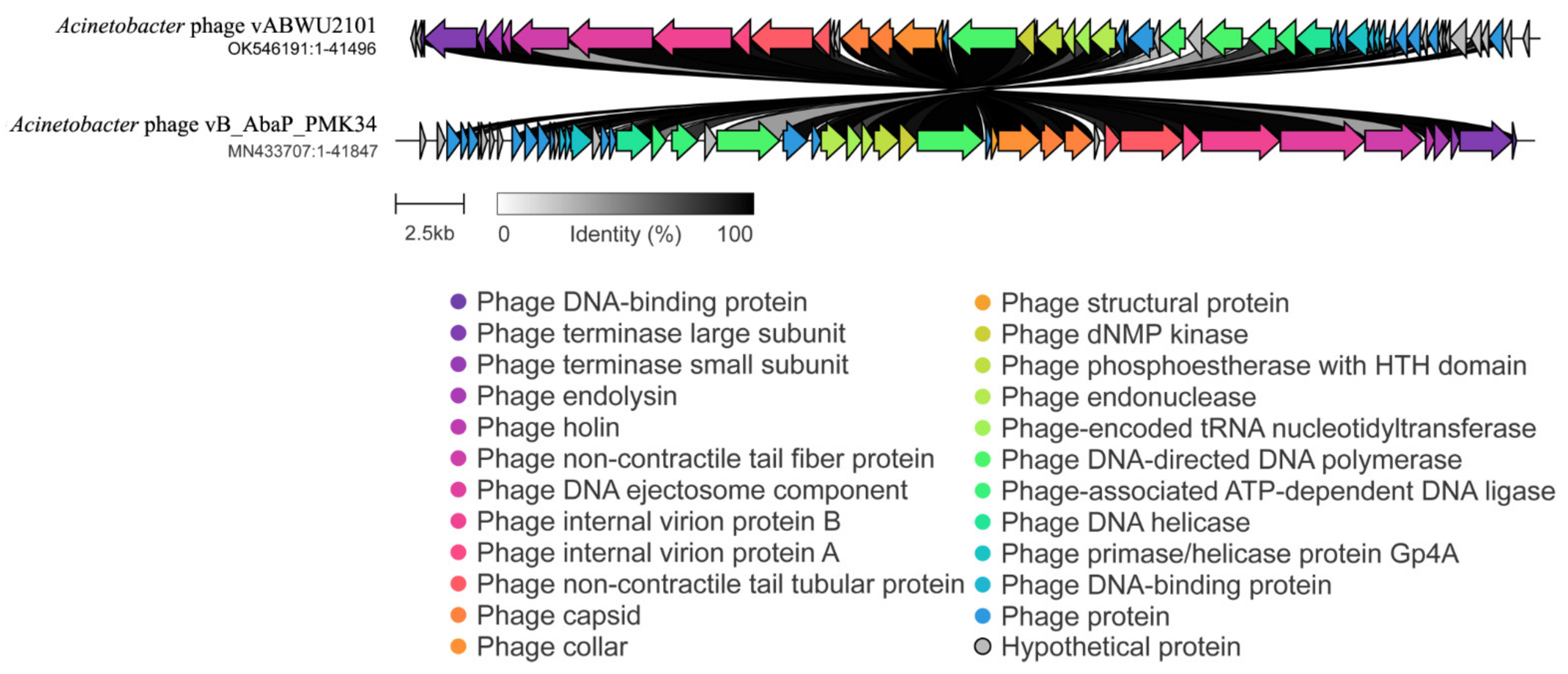 Viruses 14 00194 g003