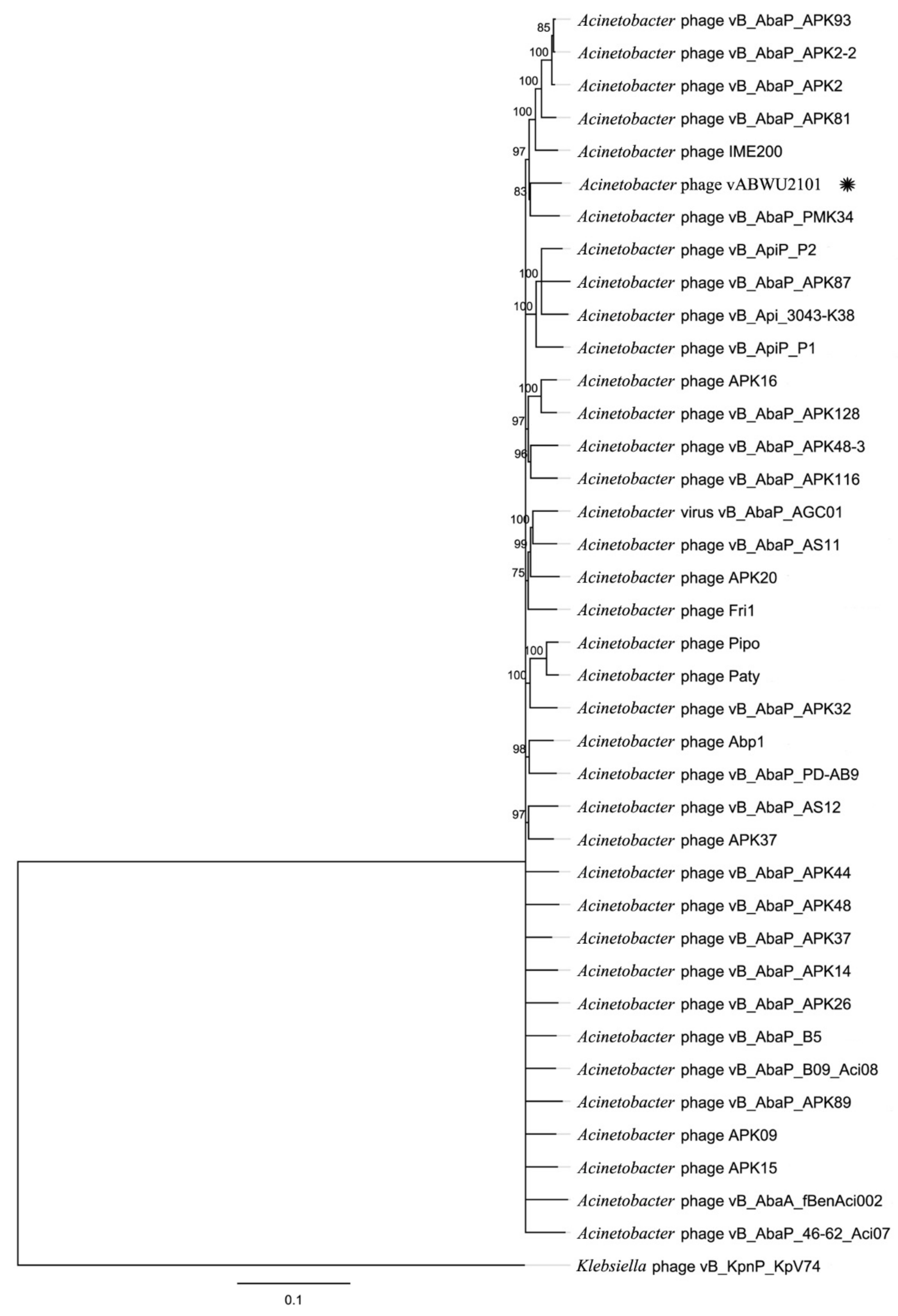 Viruses 14 00194 g004