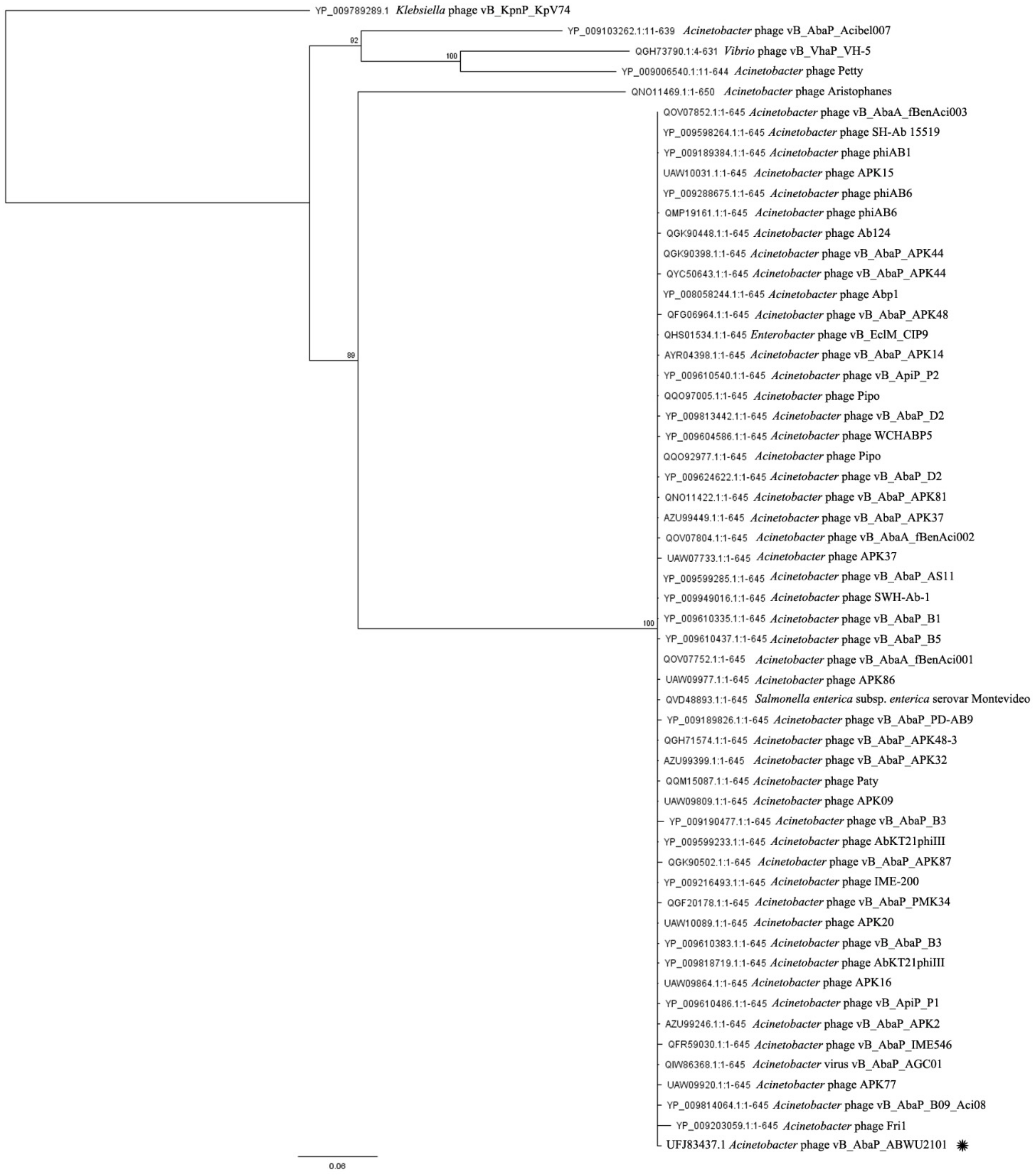 Viruses 14 00194 g006