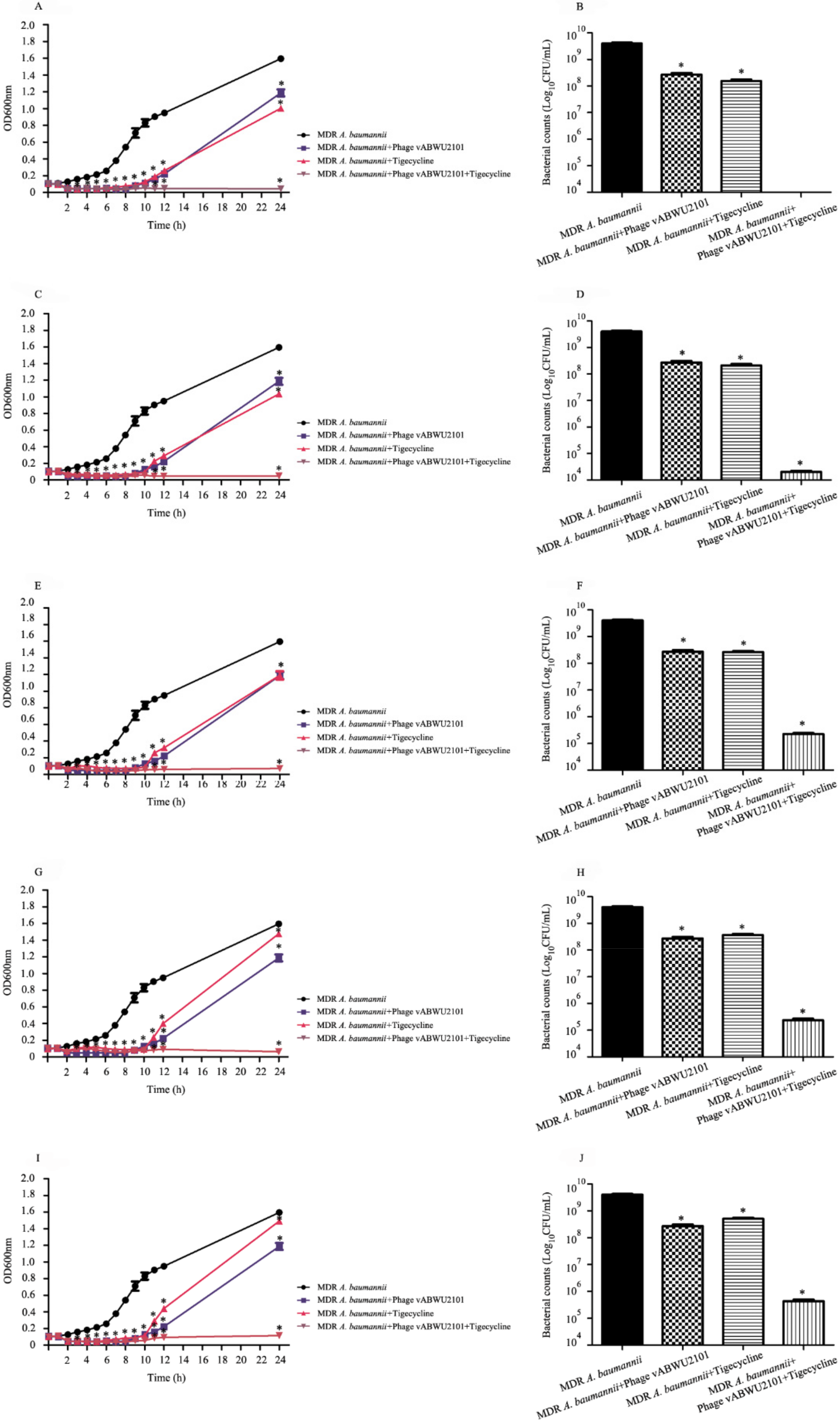 Viruses 14 00194 g008