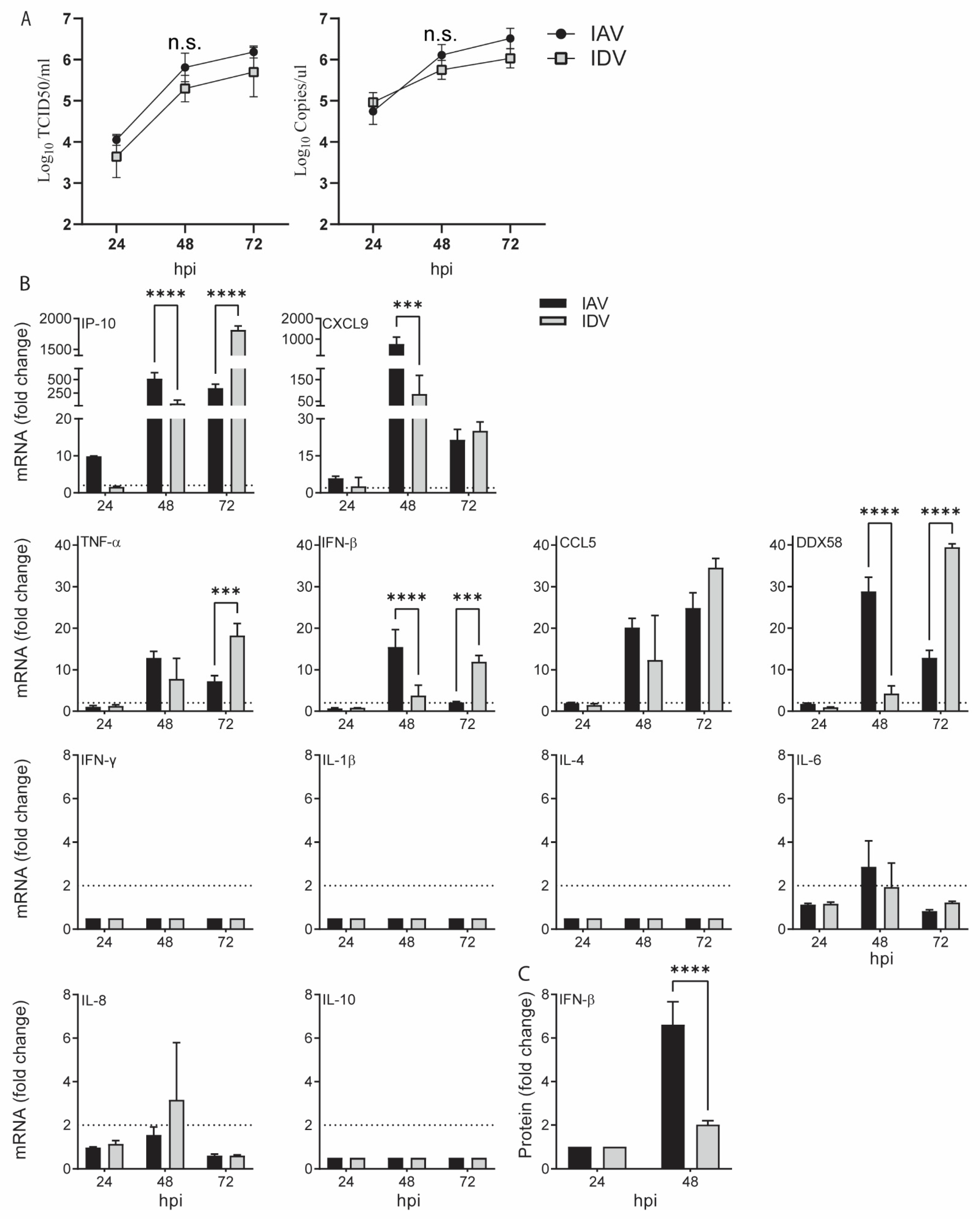 Viruses 14 00224 g001