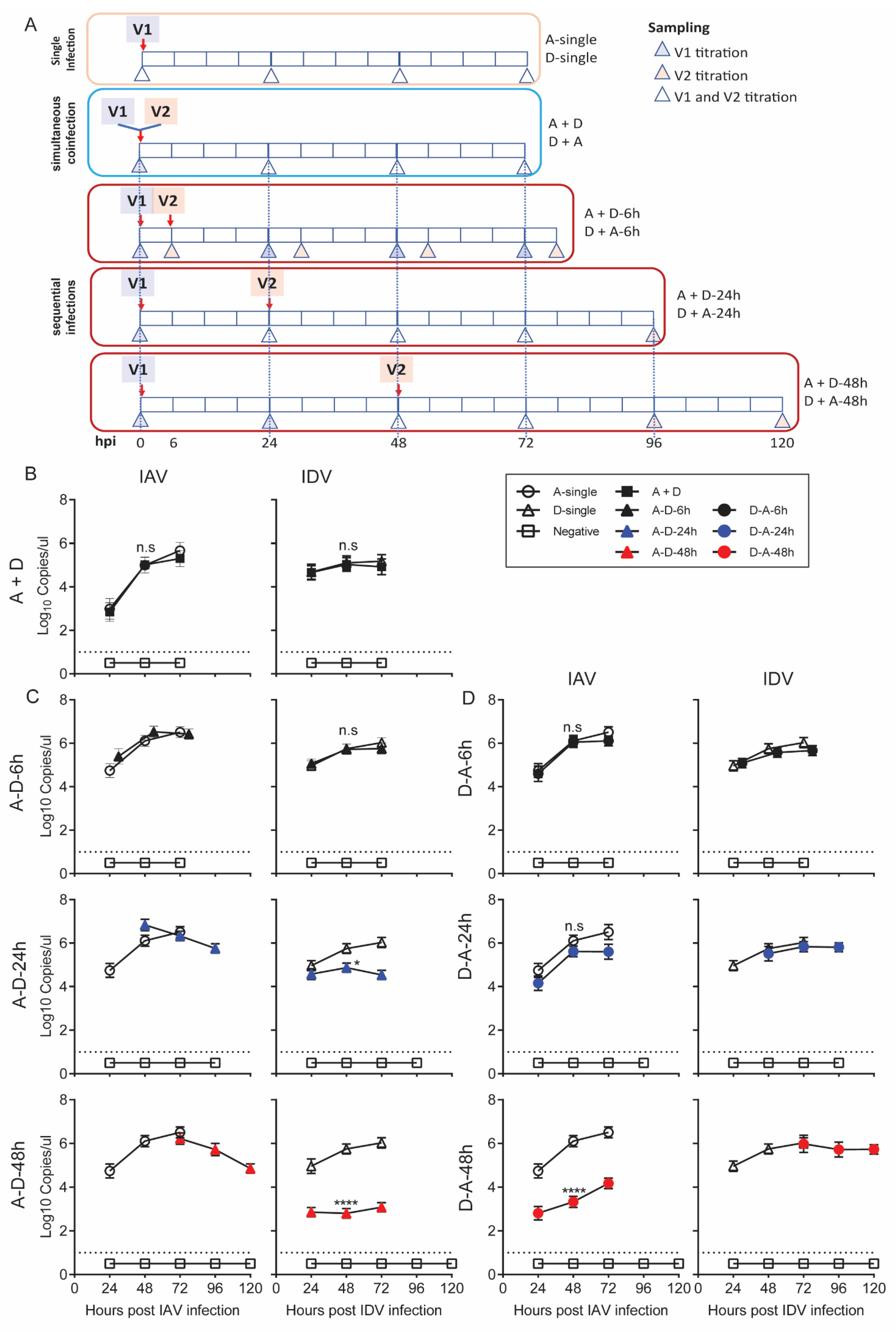 Viruses 14 00224 g002