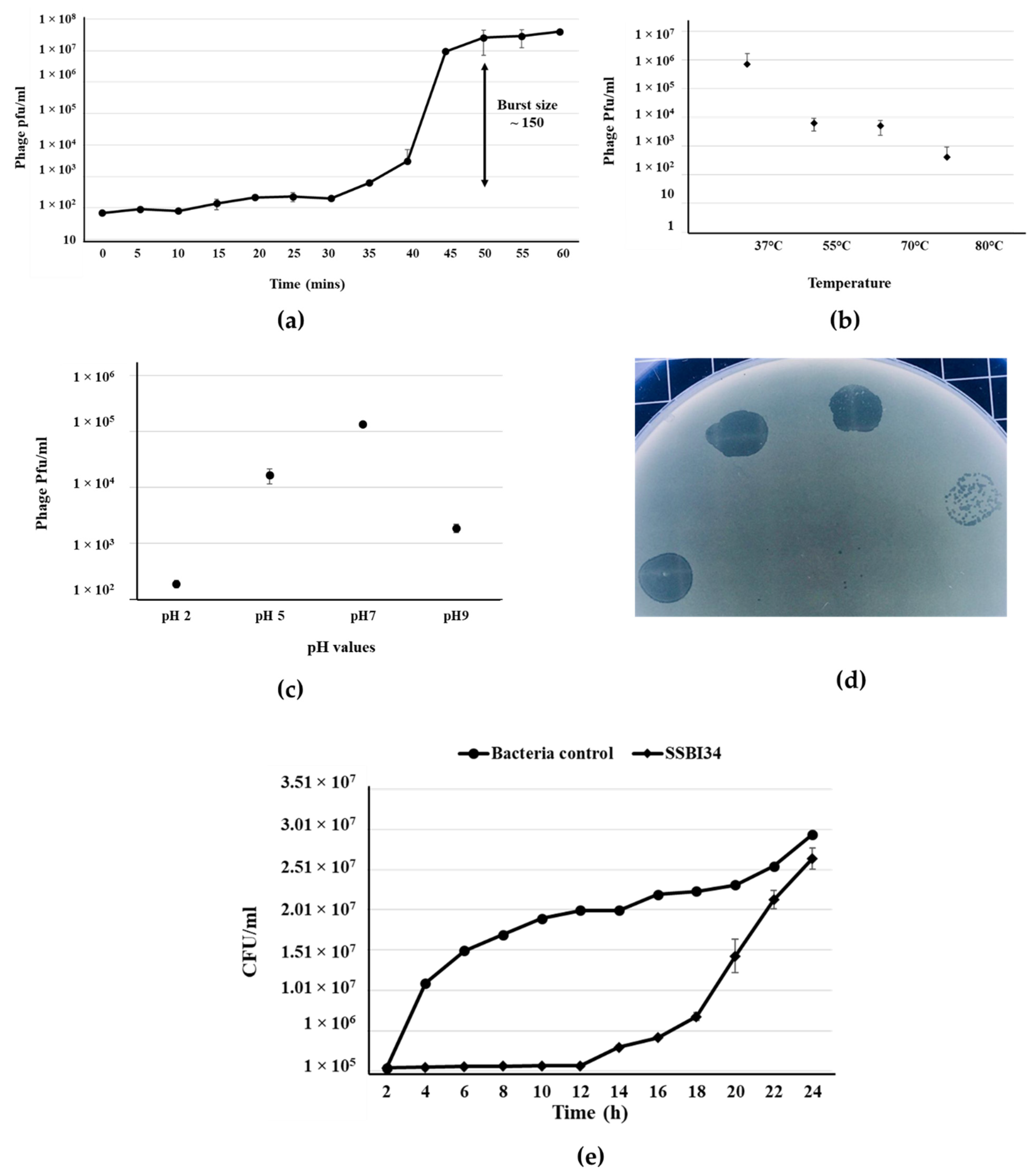 Viruses 14 00241 g001