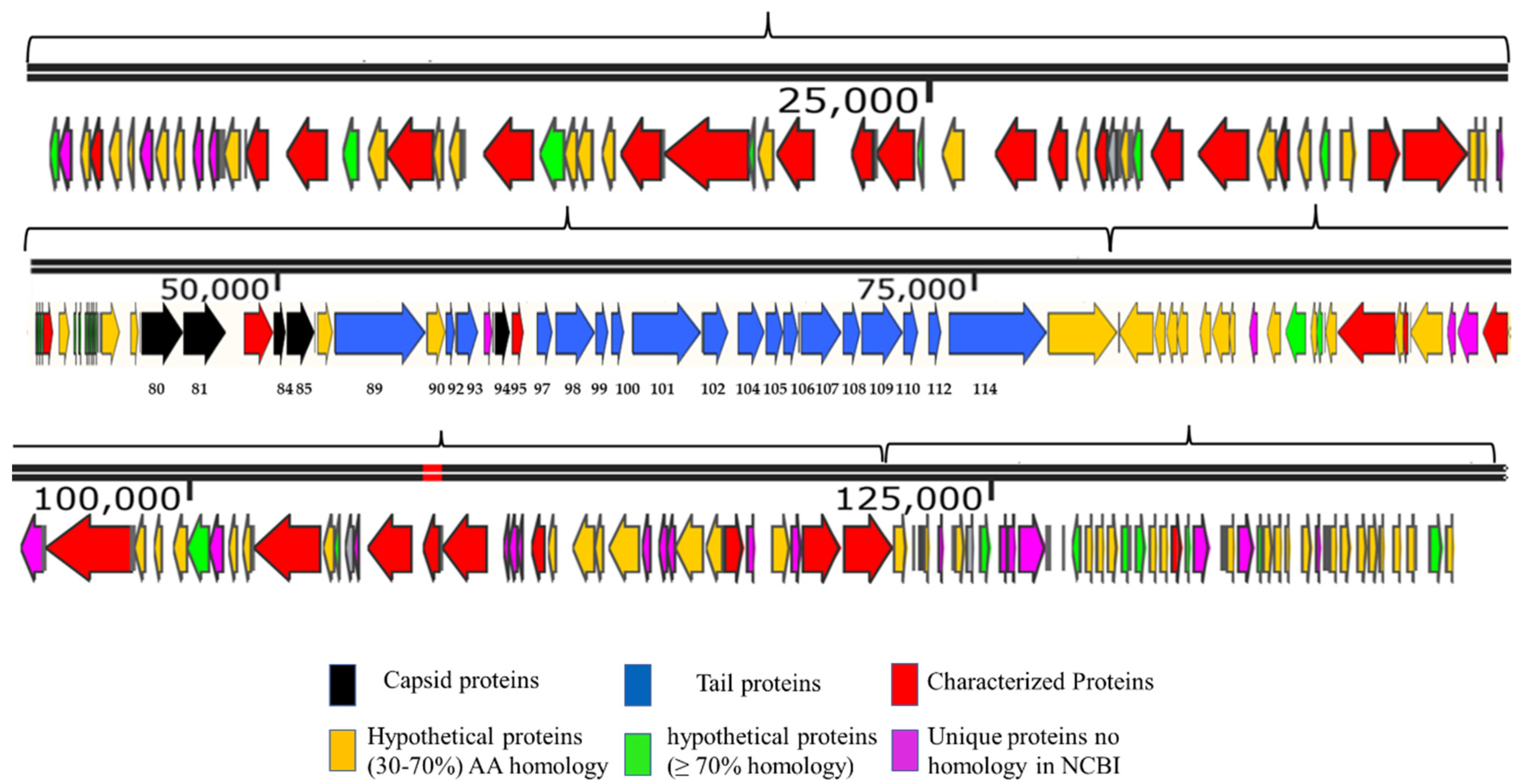 Viruses 14 00241 g003